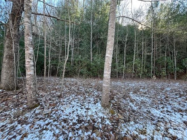 621 Round Top Road - Photo 10
