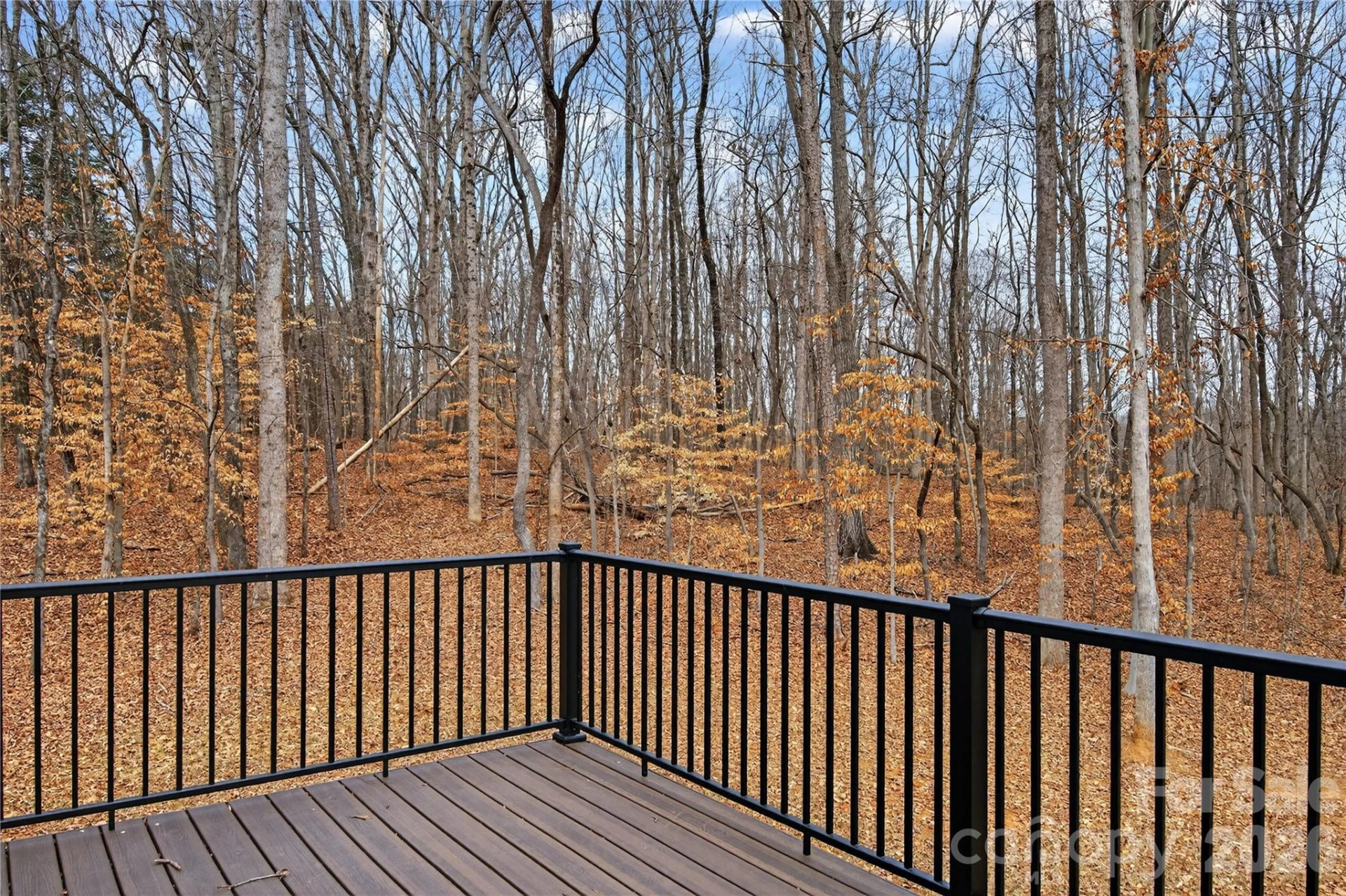 140 Meadowfall Lane - Photo 10