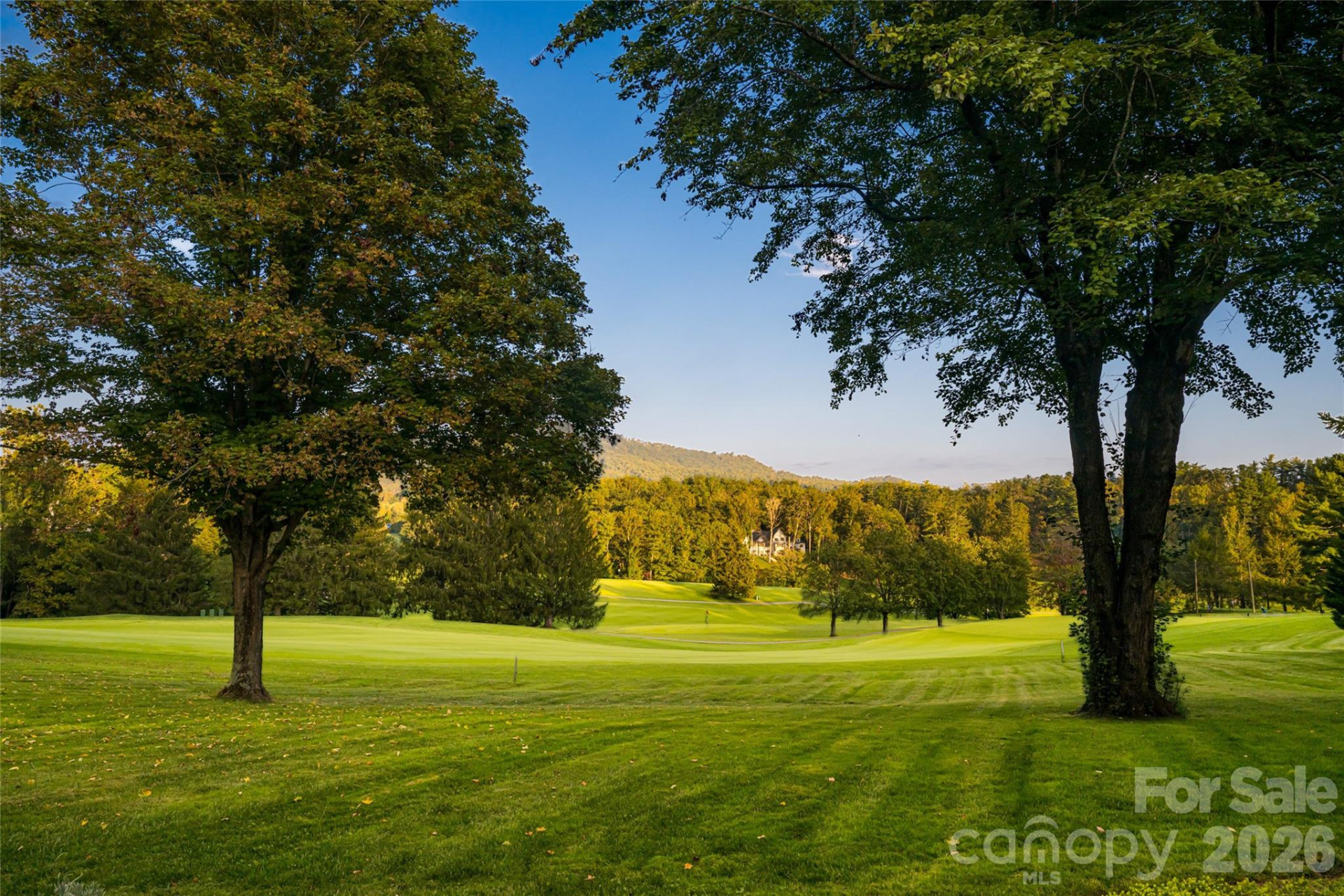 402 Vanderbilt Road - Photo 39