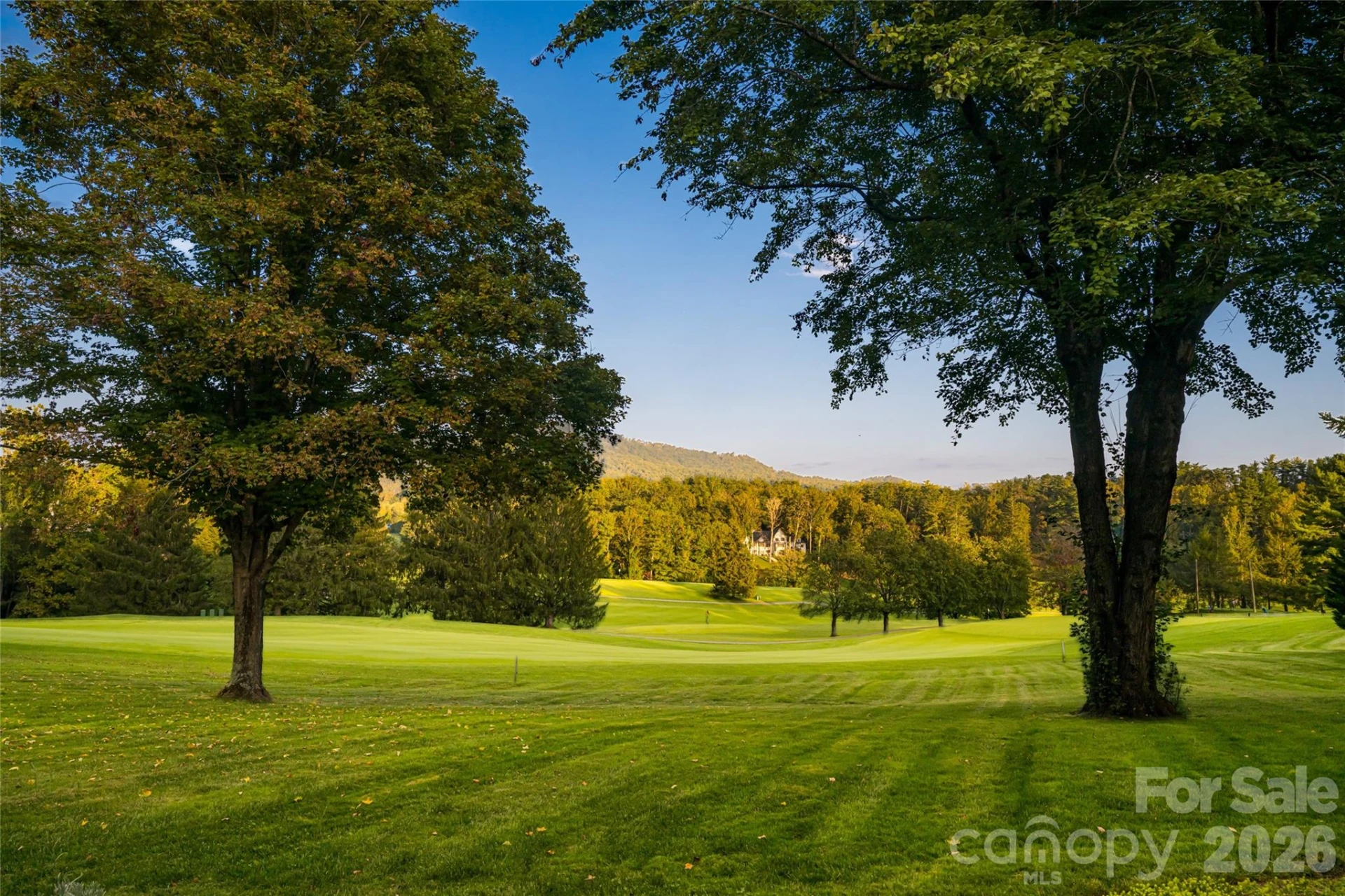 402 Vanderbilt Road - Photo 39