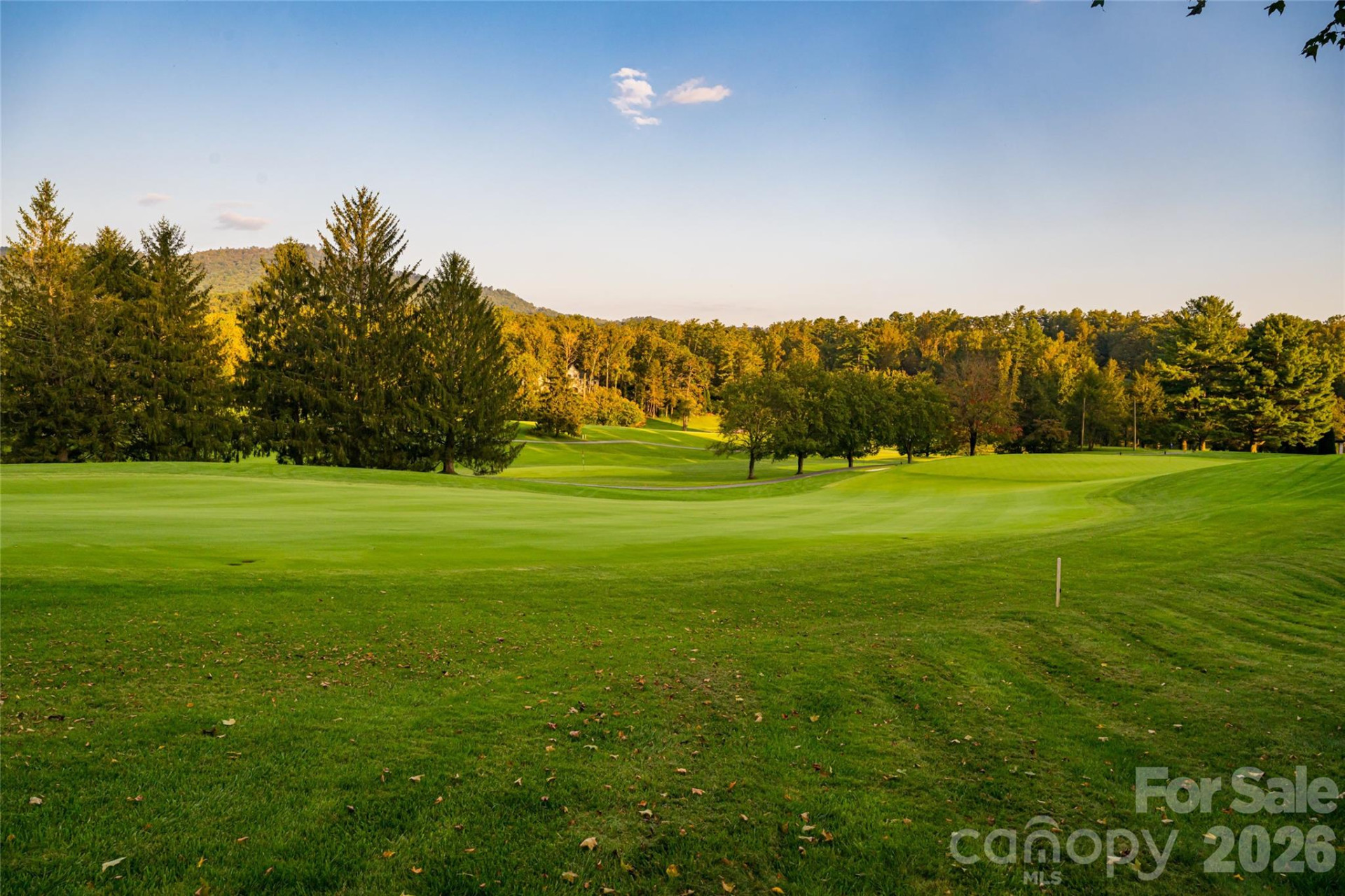 402 Vanderbilt Road - Photo 43