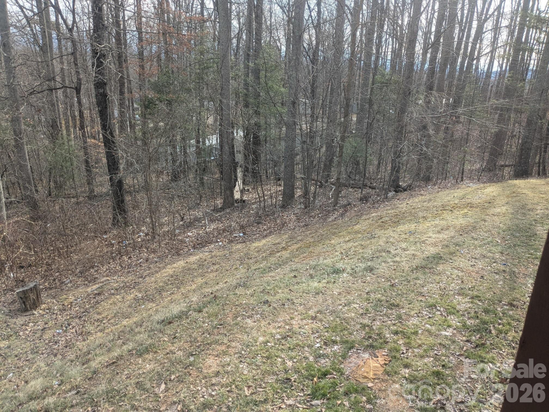 11 Gertrude Lane - Photo 11