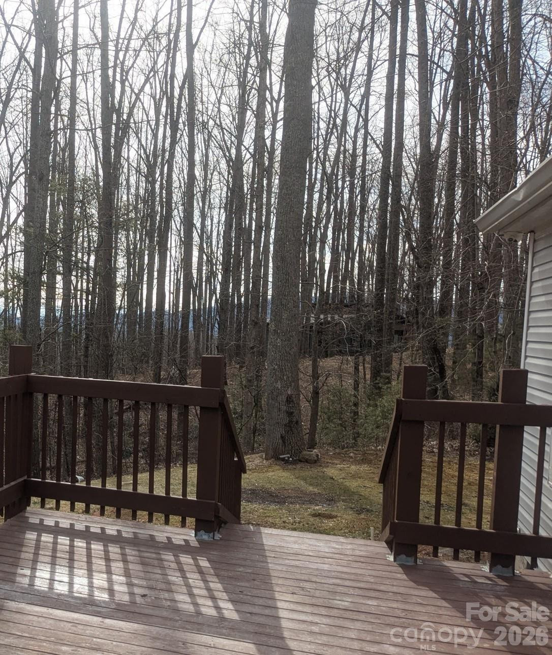 11 Gertrude Lane - Photo 5