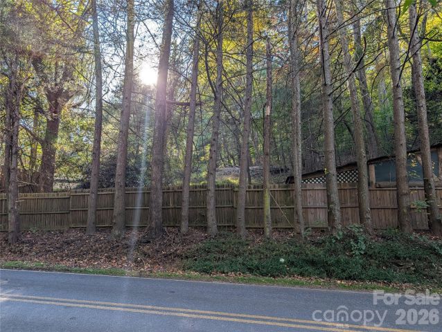222 Reeves Cove Road, Candler, NC, 28715