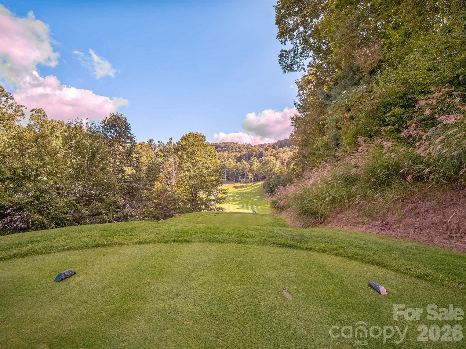 Lot 30 Mountain Air Drive - Photo 25