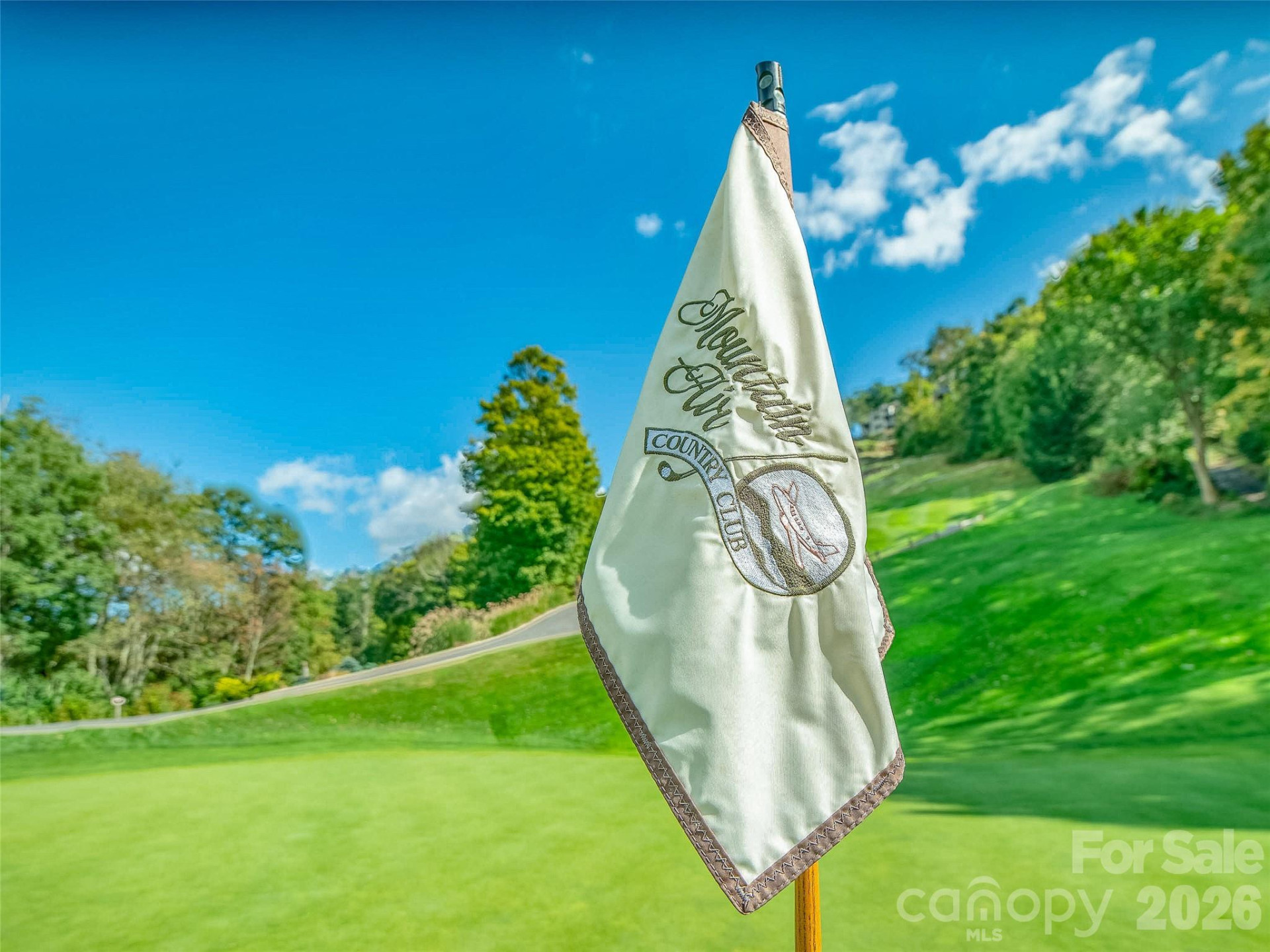 Lot 30 Mountain Air Drive - Photo 26