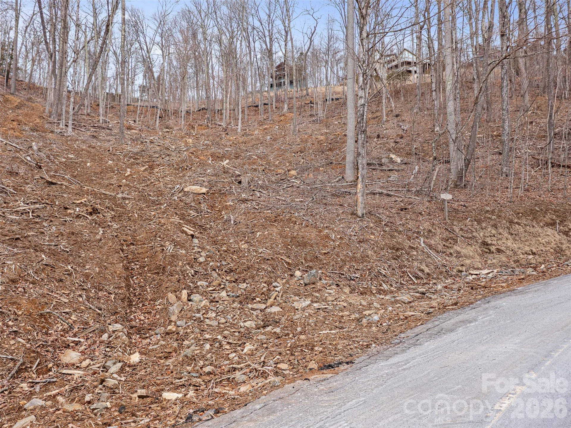 Lot 30 Mountain Air Drive - Photo 4
