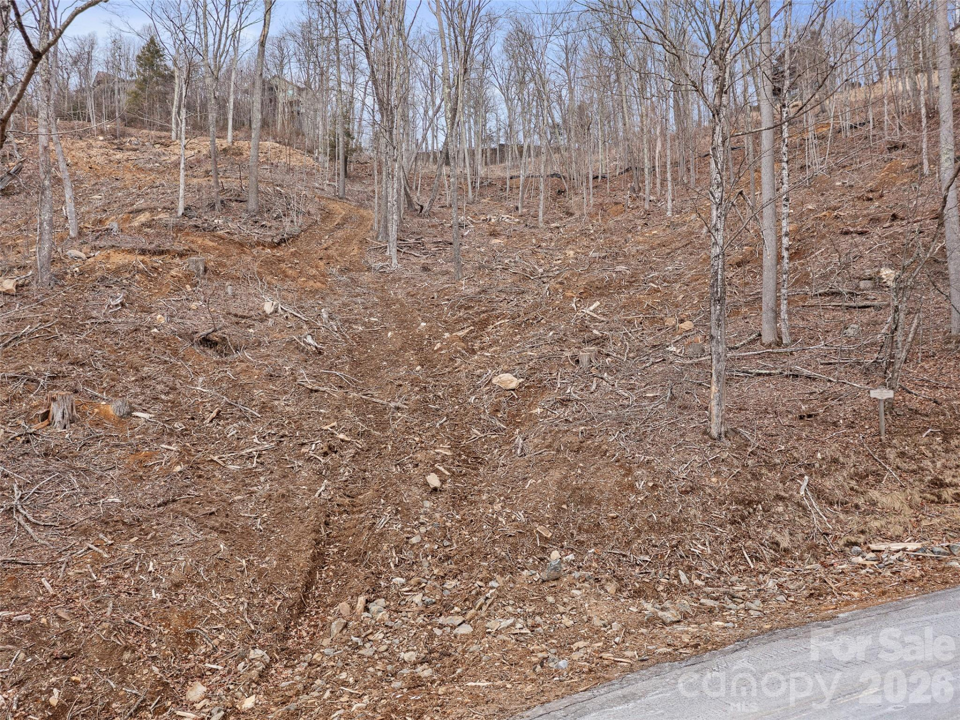 Lot 30 Mountain Air Drive - Photo 9