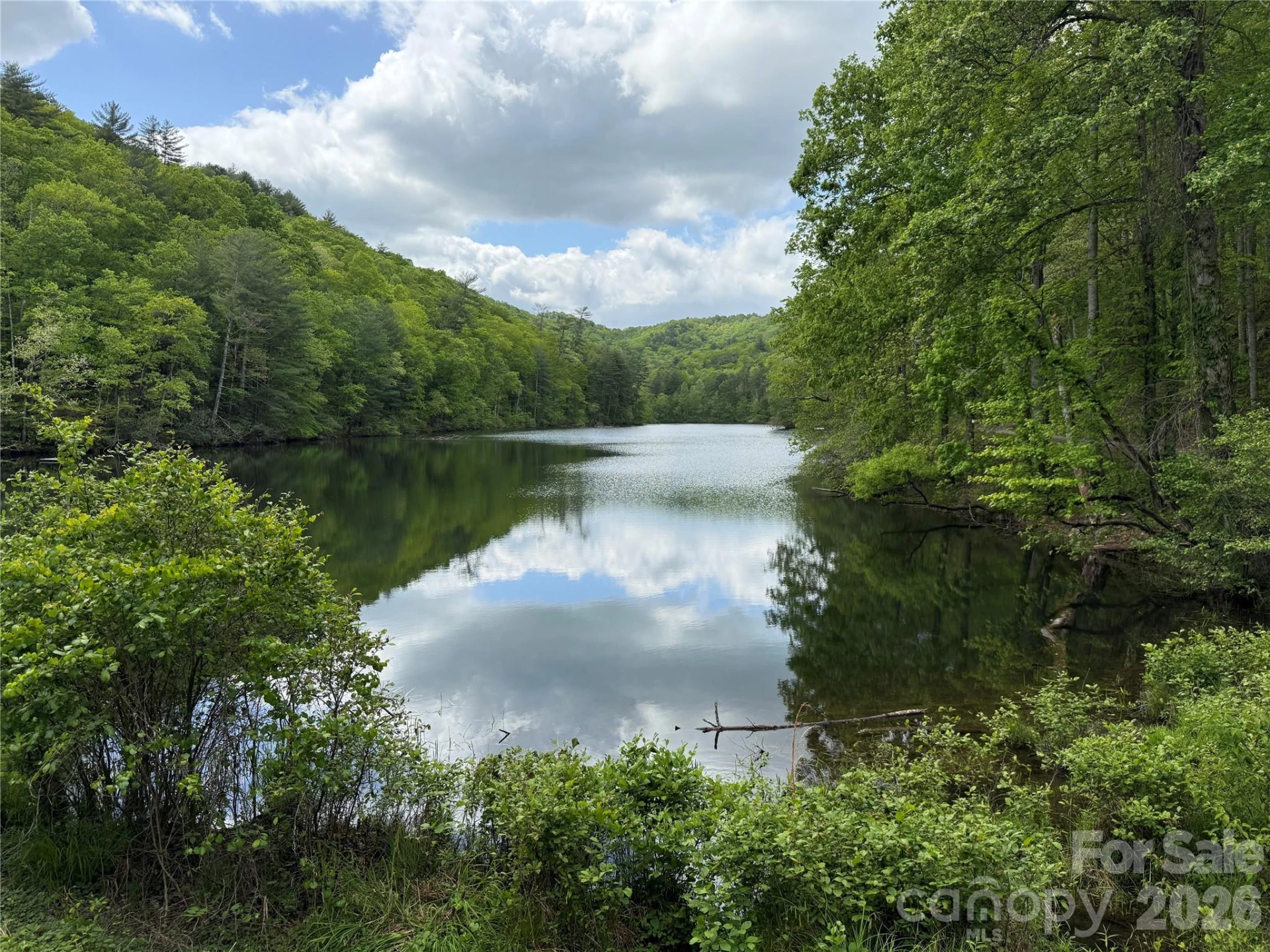 820 Shuler Lake Road - Photo 19