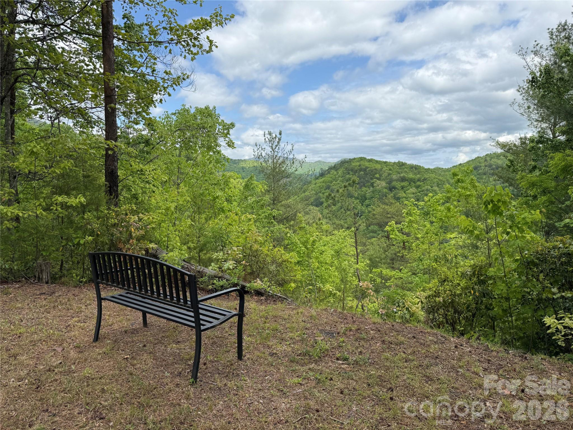 820 Shuler Lake Road - Photo 34