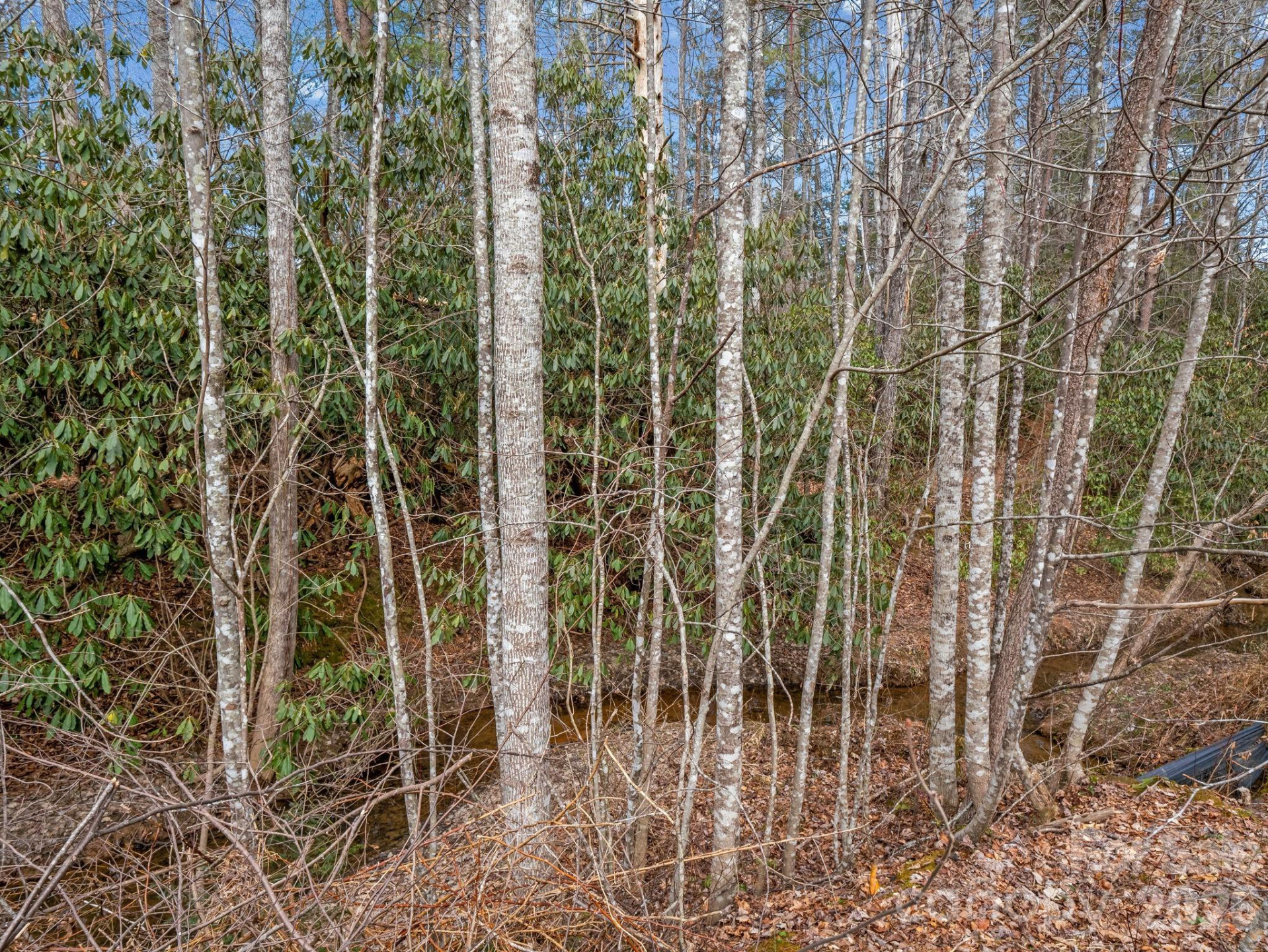 220 Jonathan Creek Drive - Photo 37