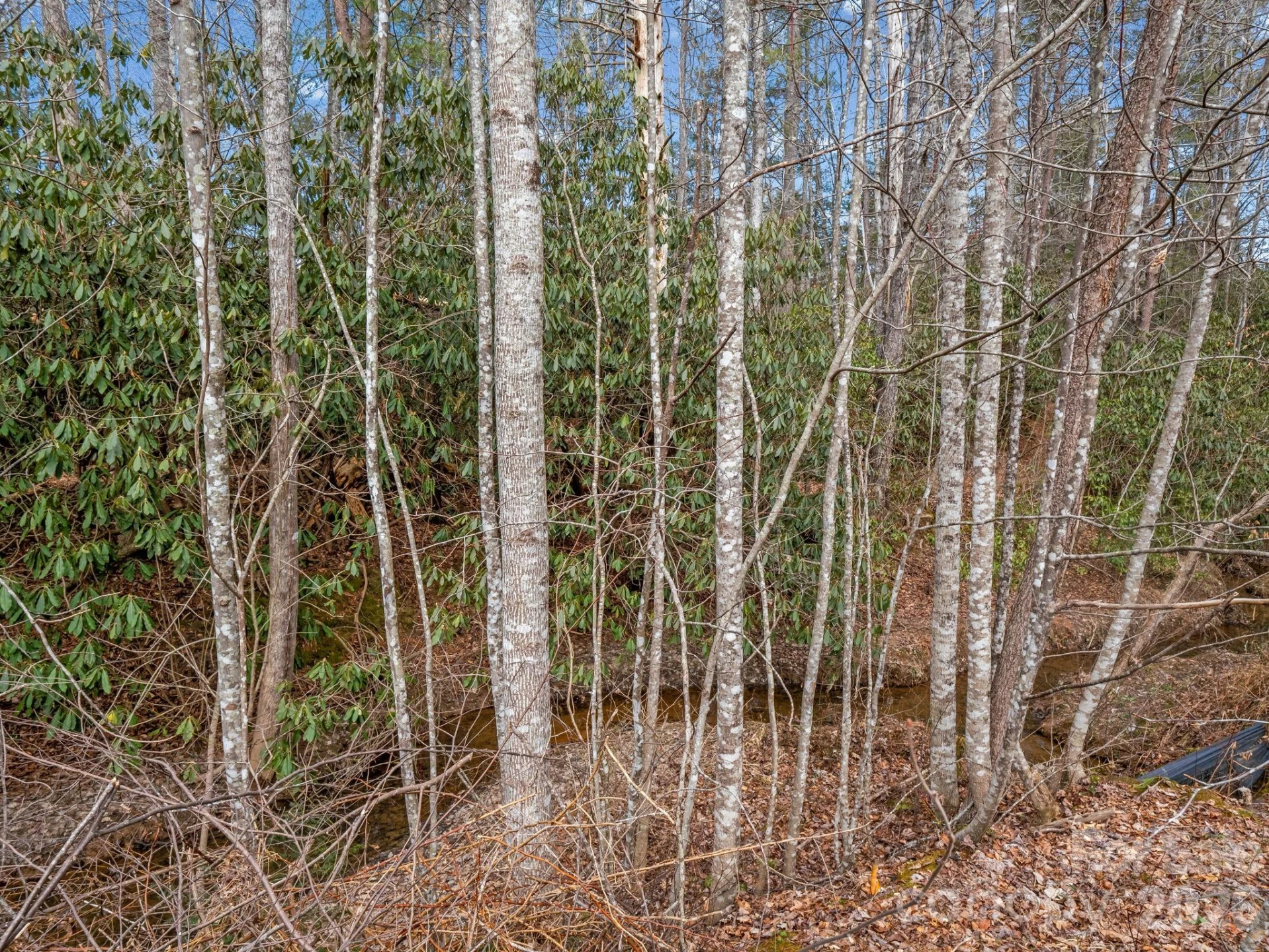 220 Jonathan Creek Drive - Photo 37