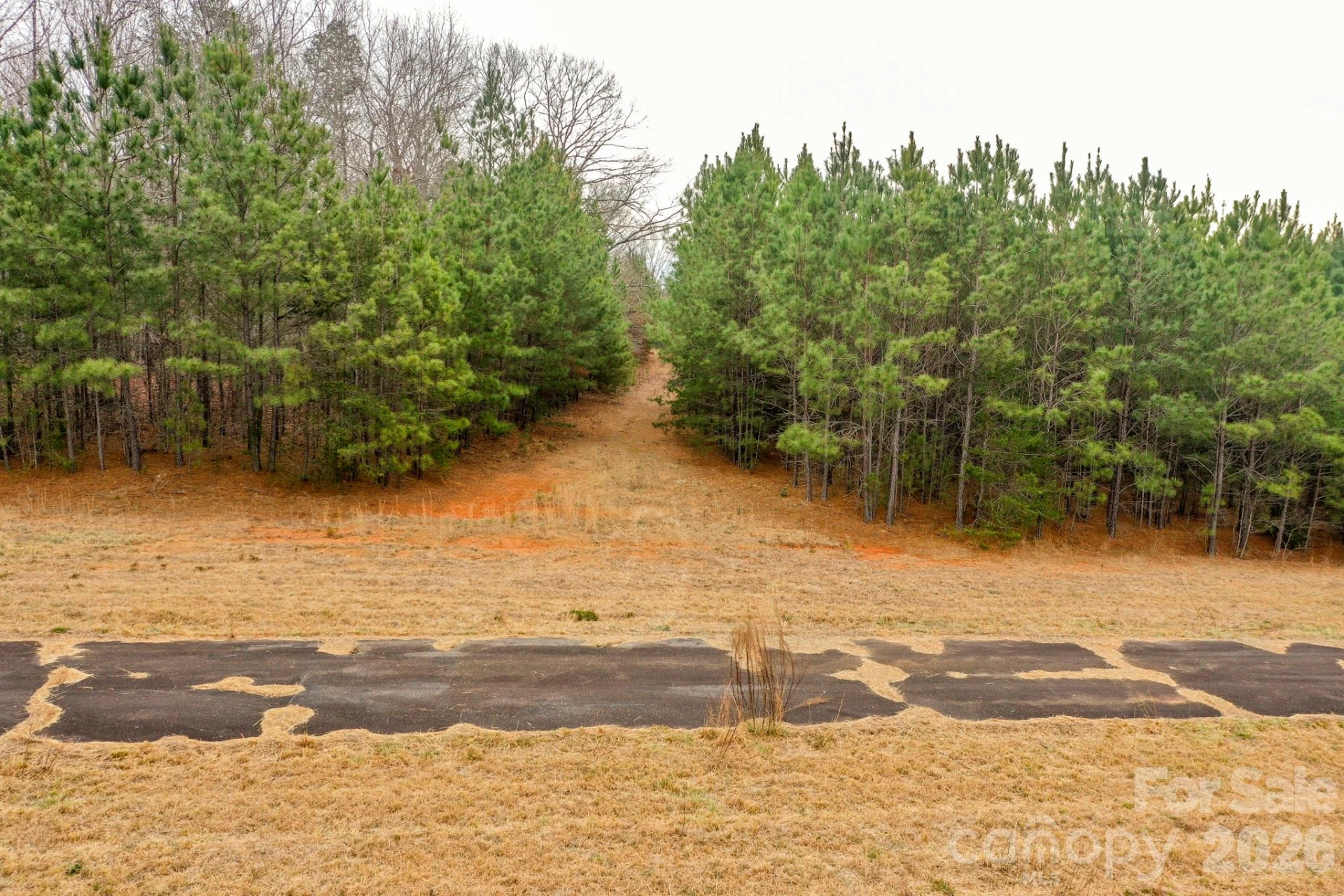 0 Dead End Road - Photo 12