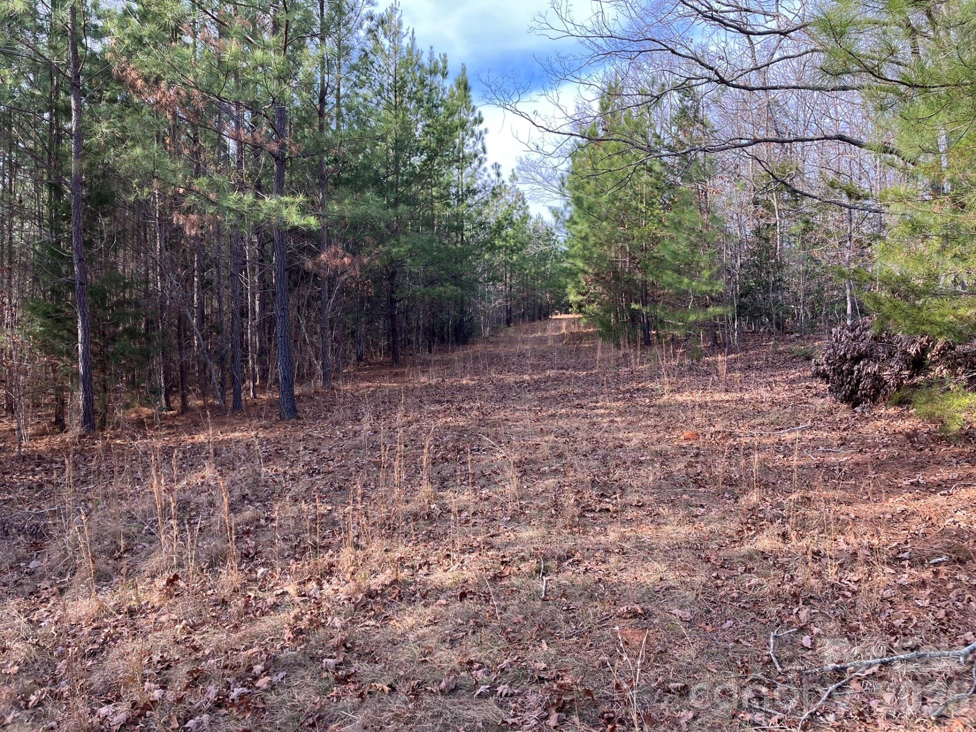 0 Dead End Road - Photo 19