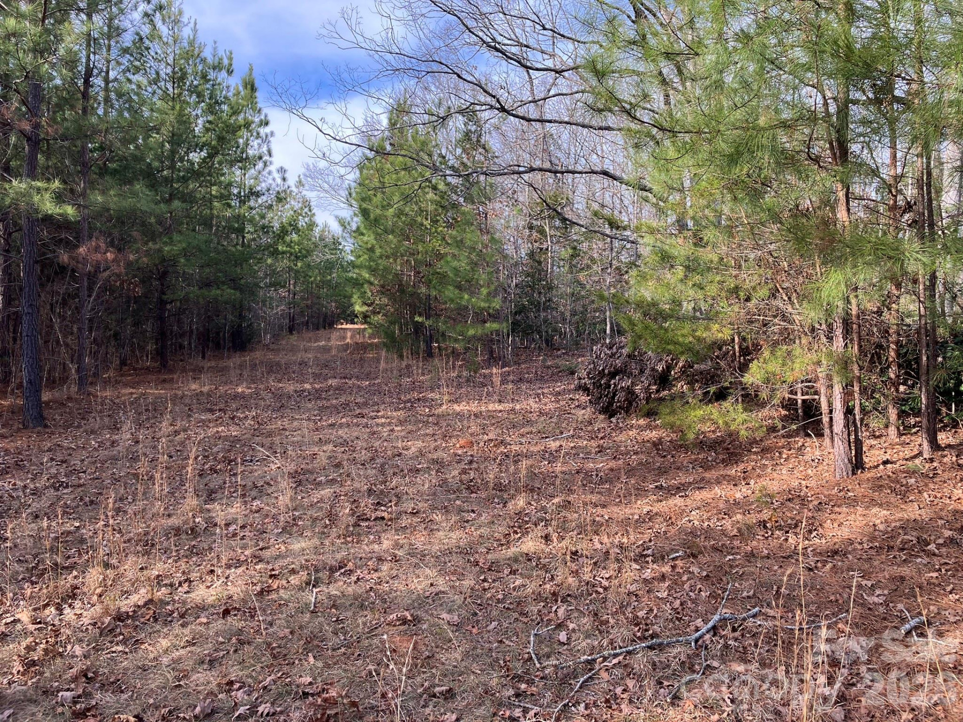 0 Dead End Road - Photo 20