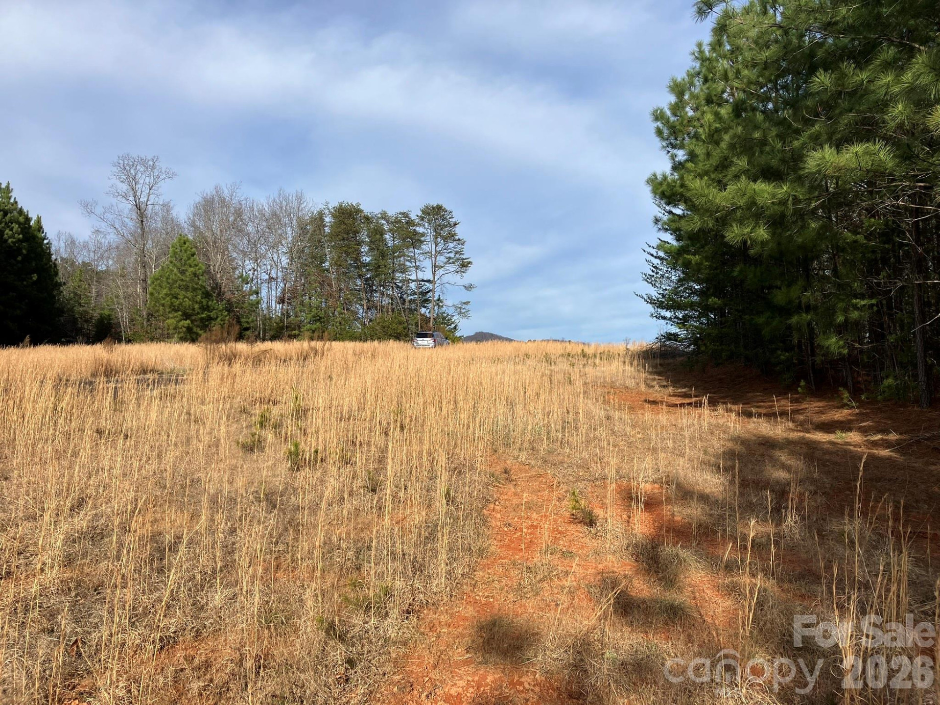 0 Dead End Road - Photo 21