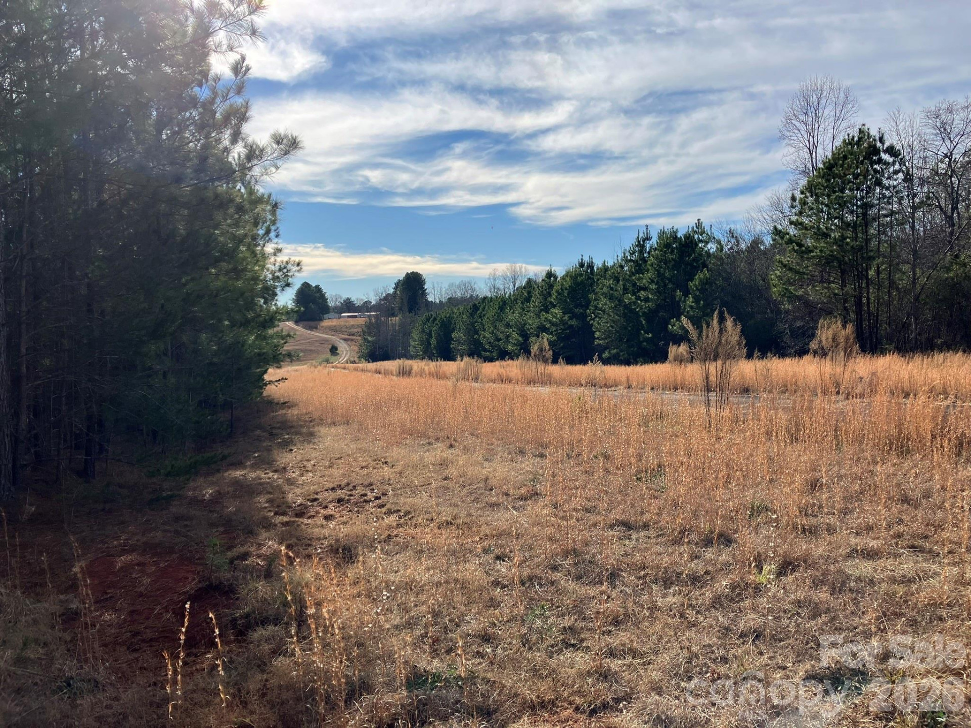 0 Dead End Road - Photo 22