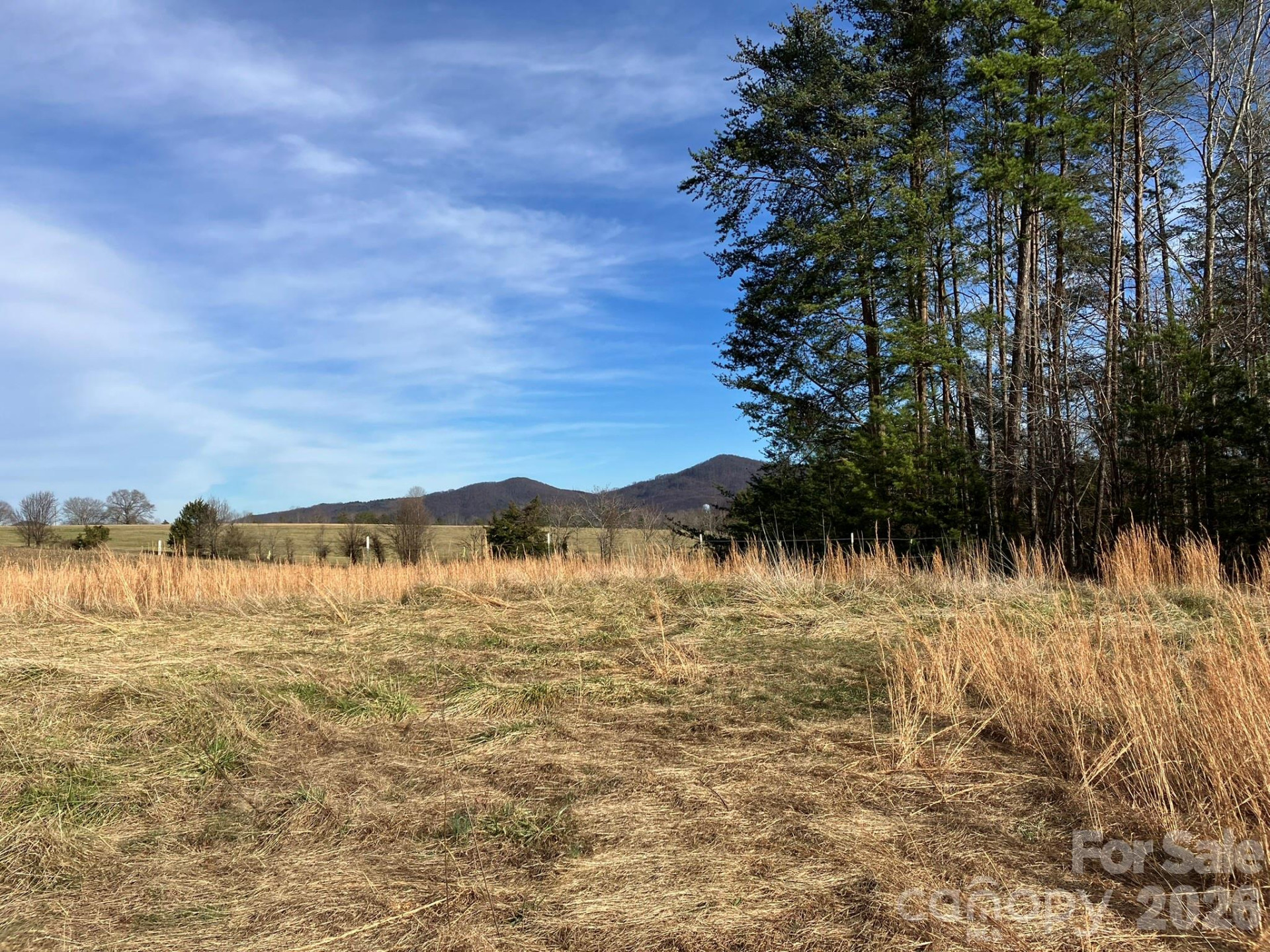 0 Dead End Road - Photo 23