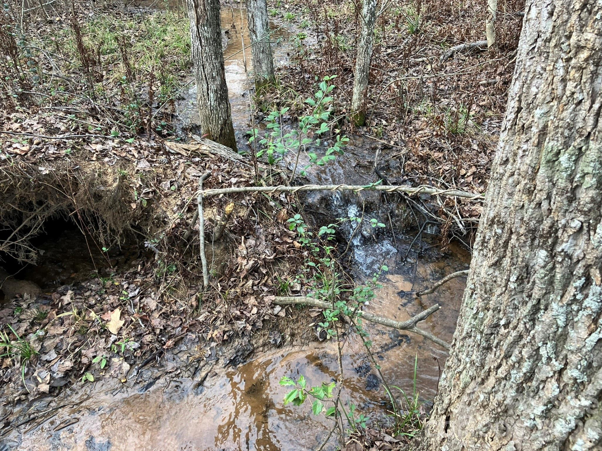 0 Dead End Road - Photo 24