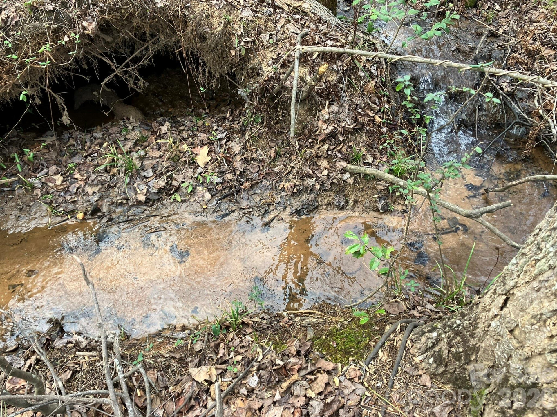 0 Dead End Road - Photo 25