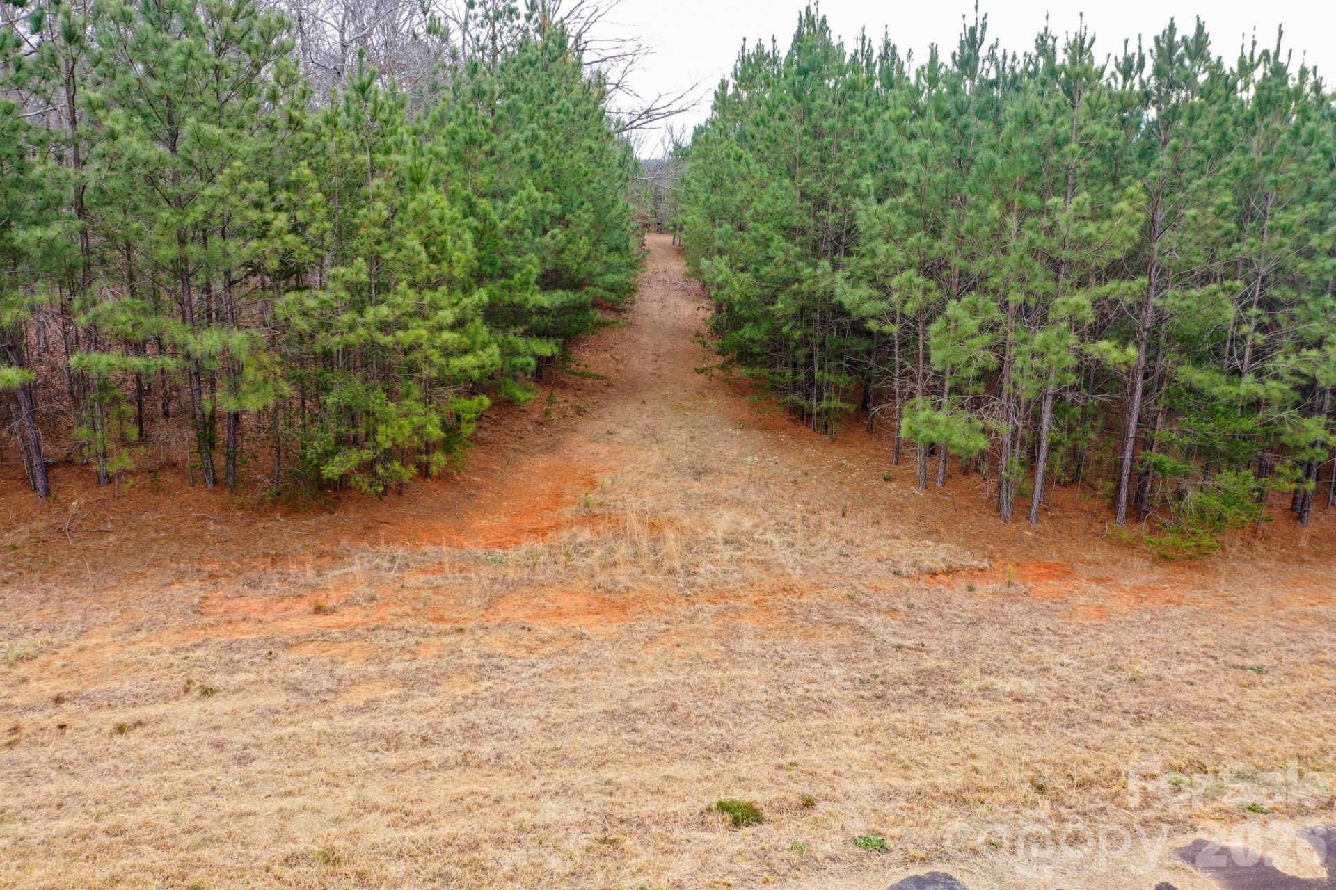 0 Dead End Road - Photo 10