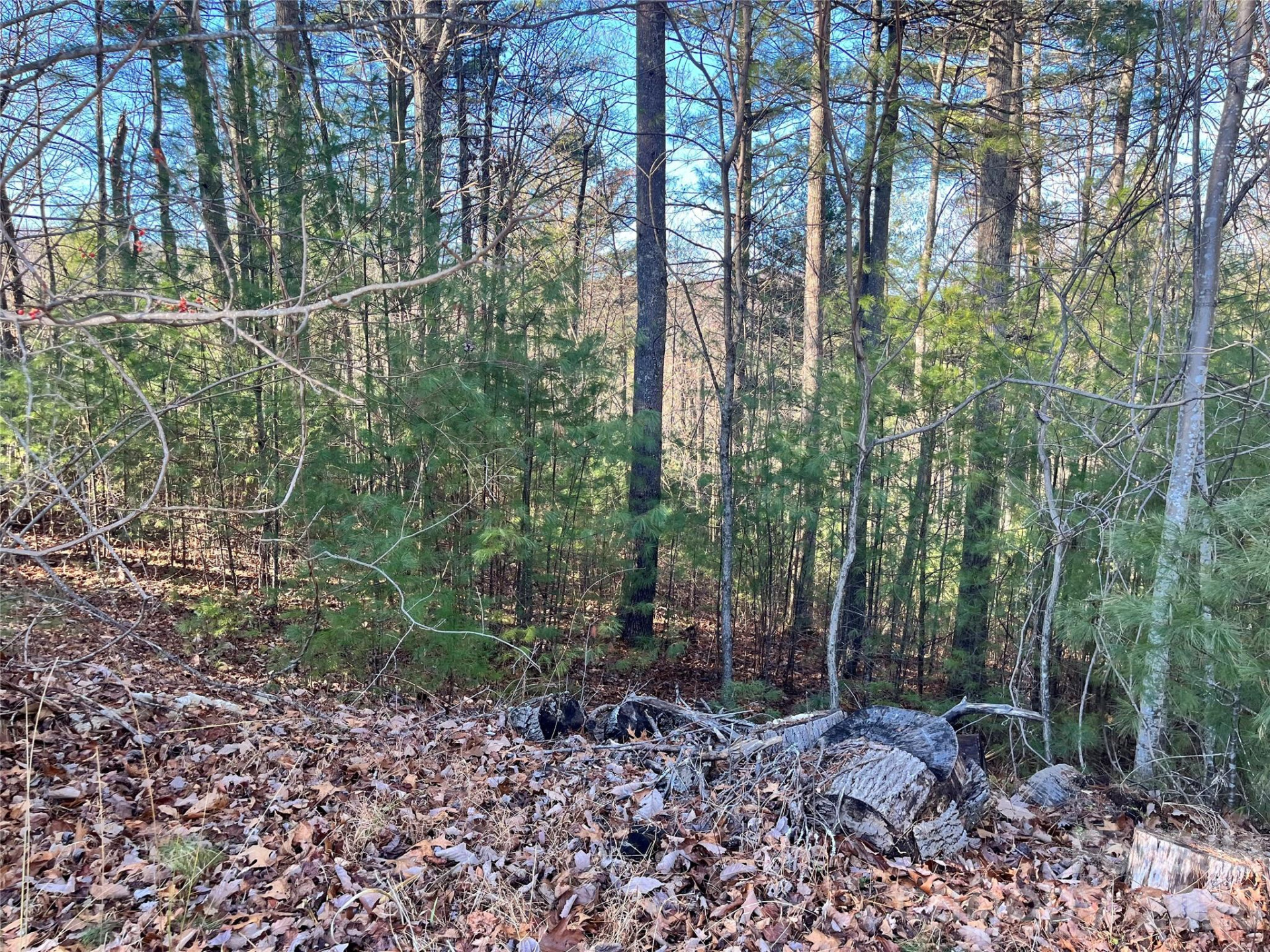 999 Trellum Trail #12 - Photo 11