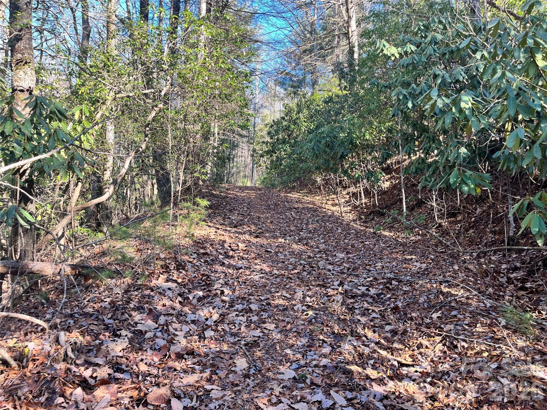 999 Trellum Trail #12 - Photo 12