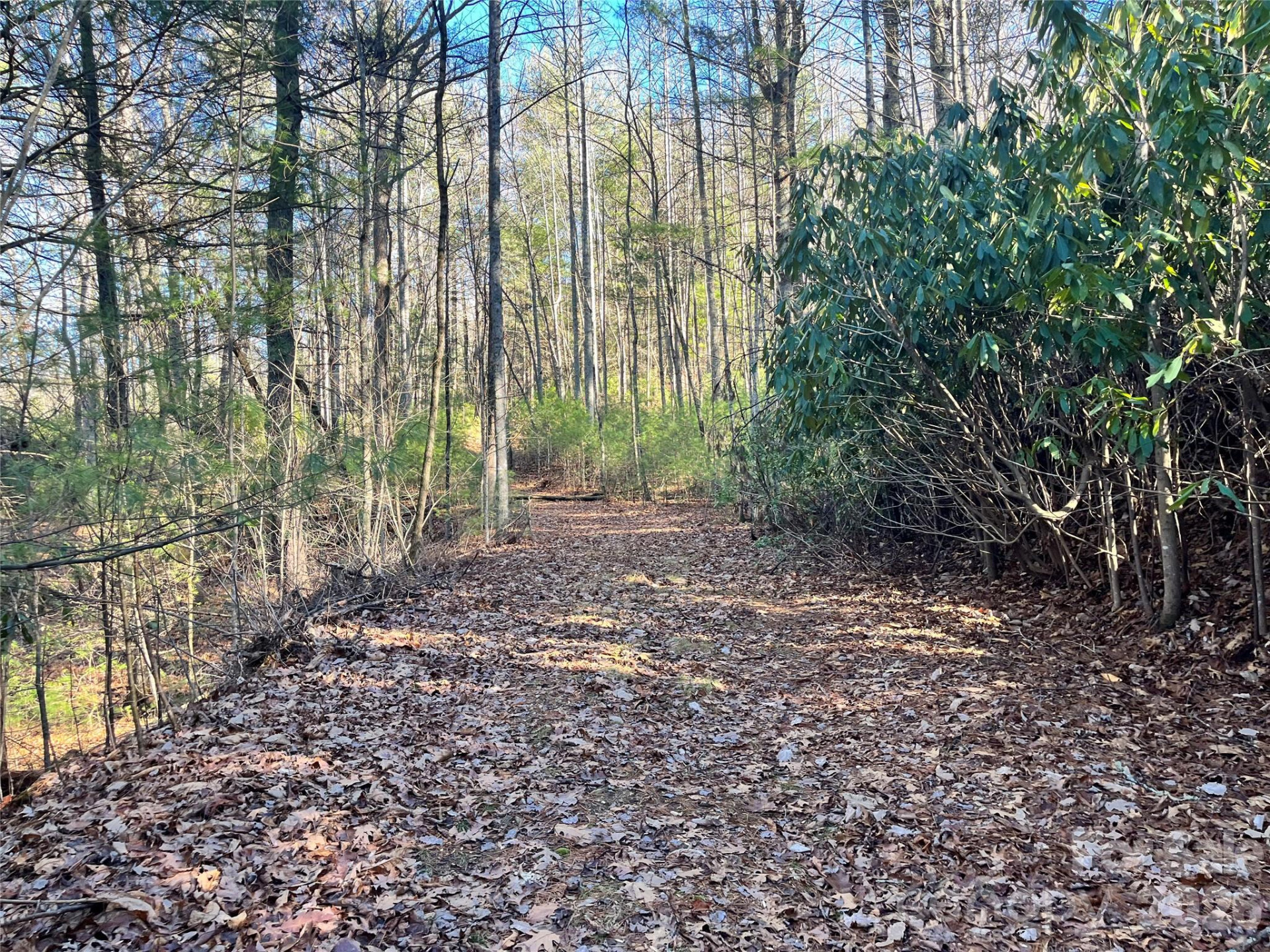 999 Trellum Trail #12 - Photo 13