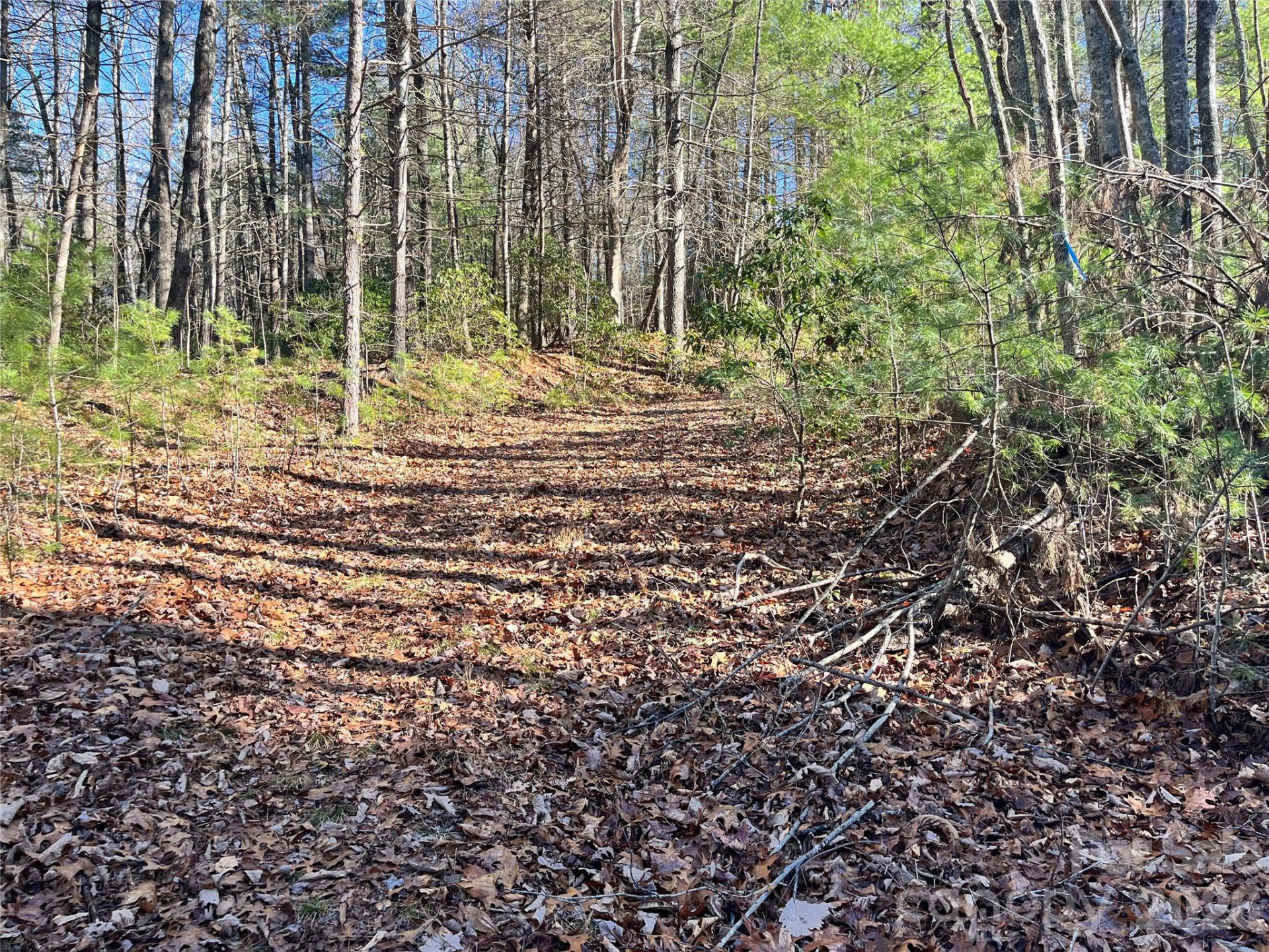 999 Trellum Trail #12 - Photo 14