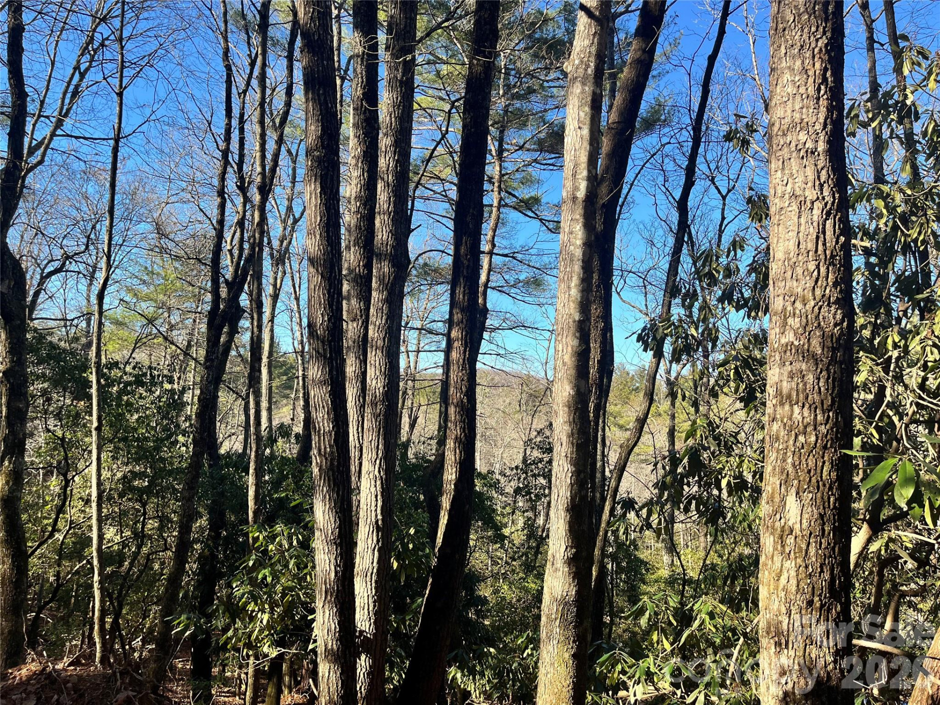 999 Trellum Trail #12 - Photo 16