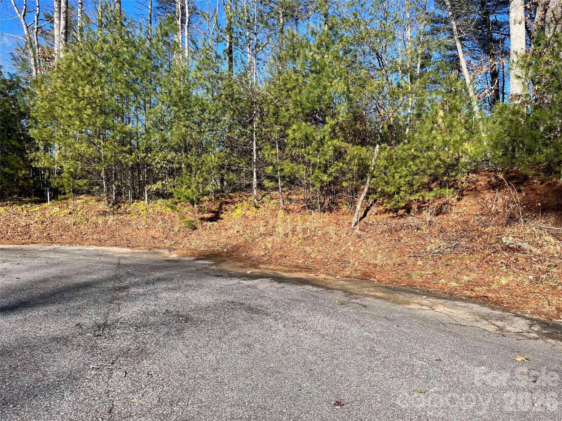 999 Trellum Trail #12 - Photo 17