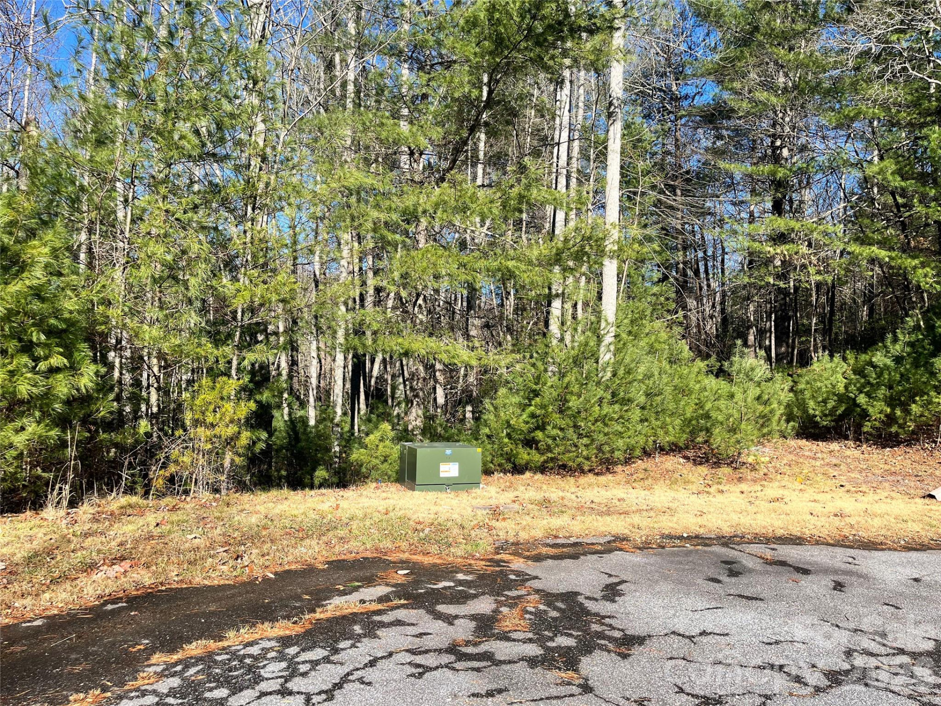 999 Trellum Trail #12 - Photo 18