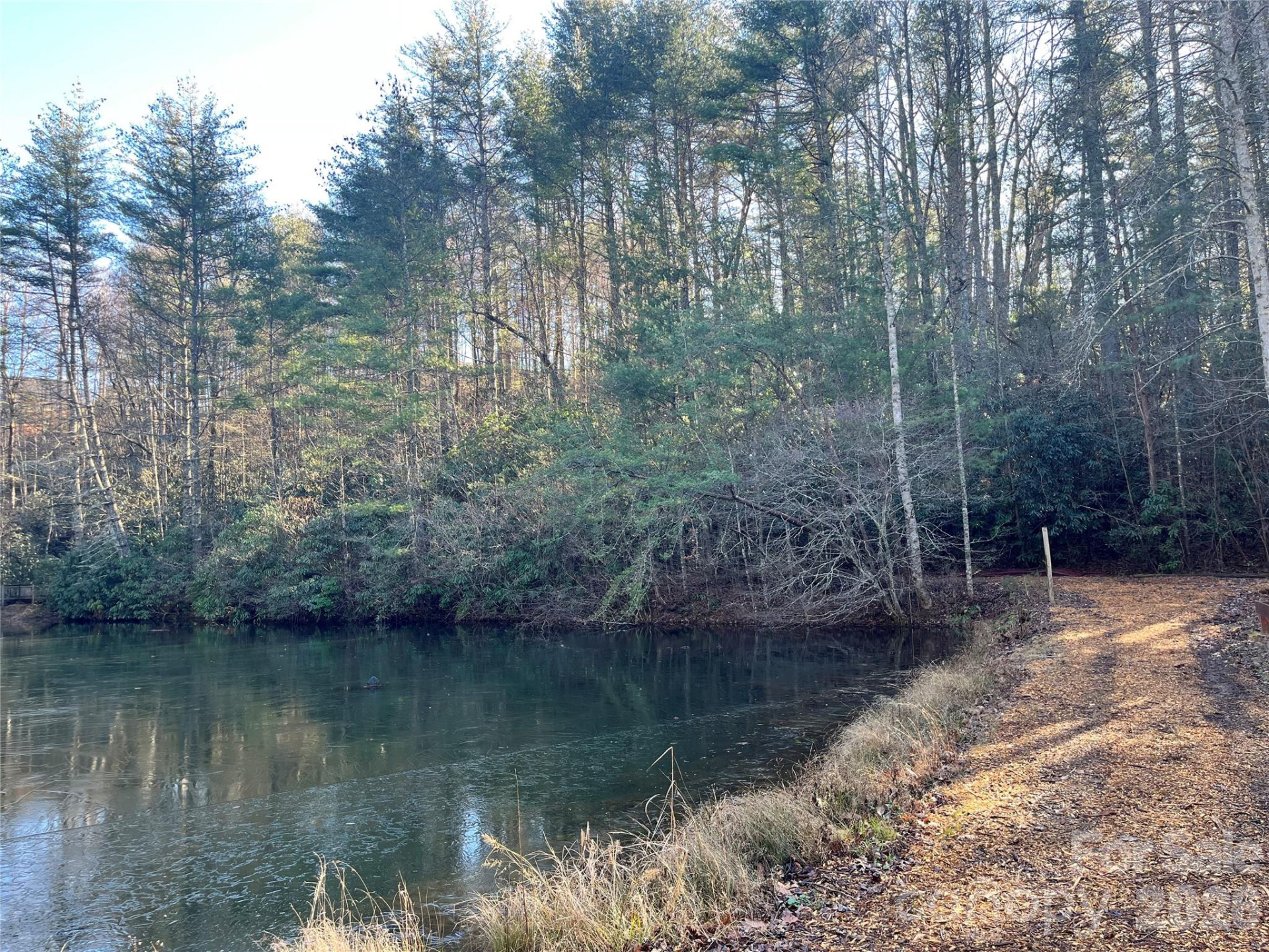 999 Trellum Trail #12 - Photo 19