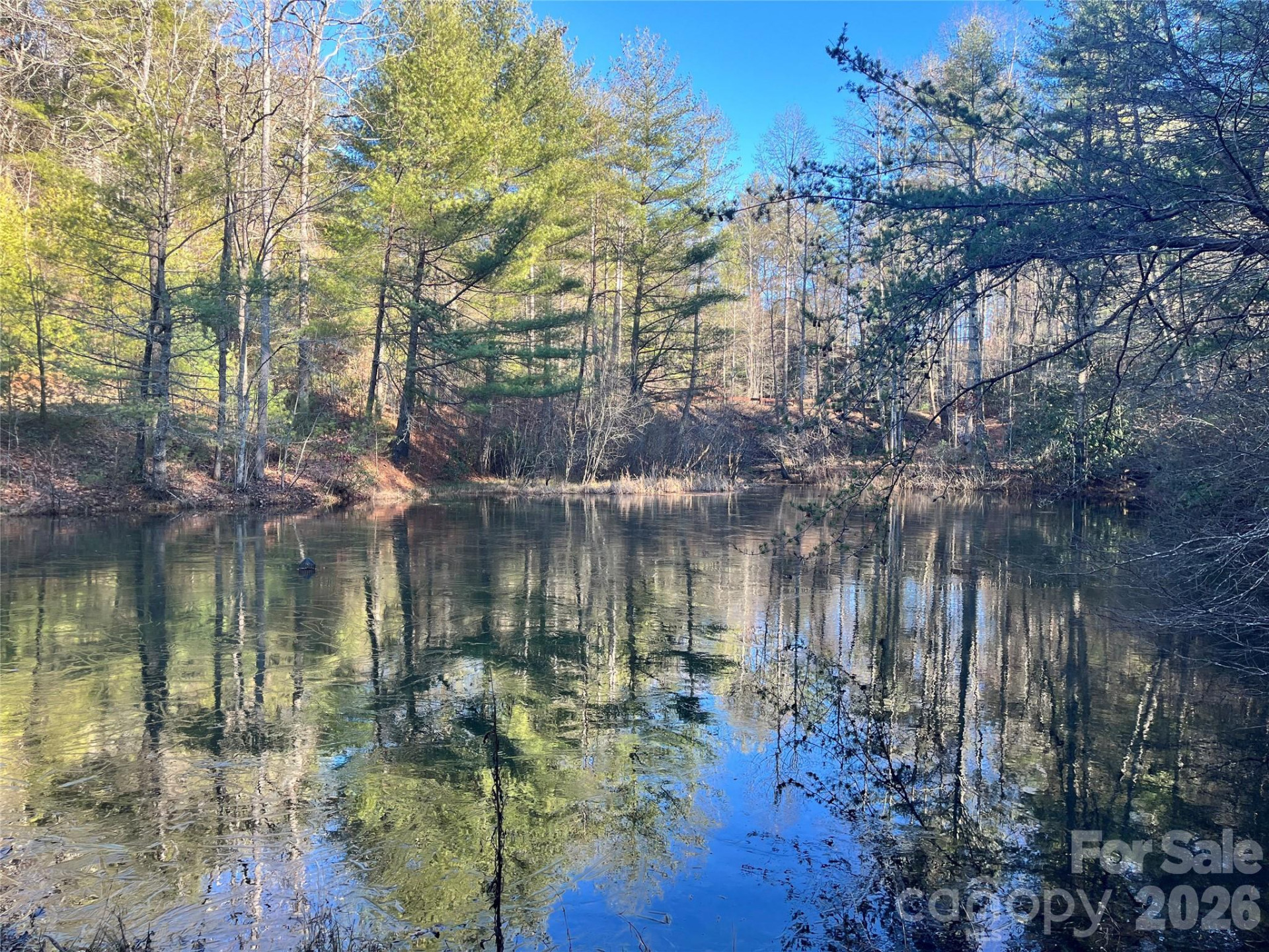 999 Trellum Trail #12 - Photo 24