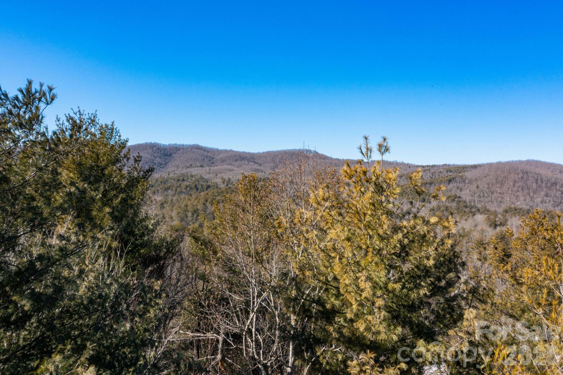 999 Trellum Trail #12 - Photo 25