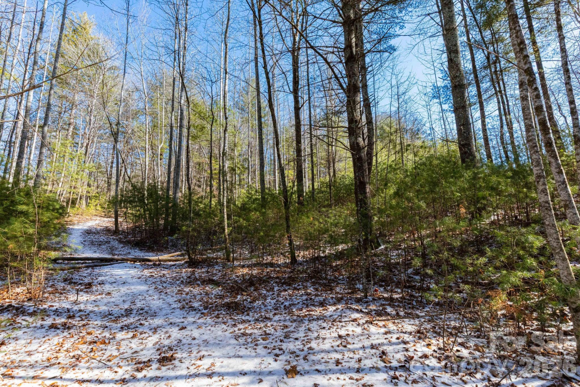 999 Trellum Trail #12 - Photo 6