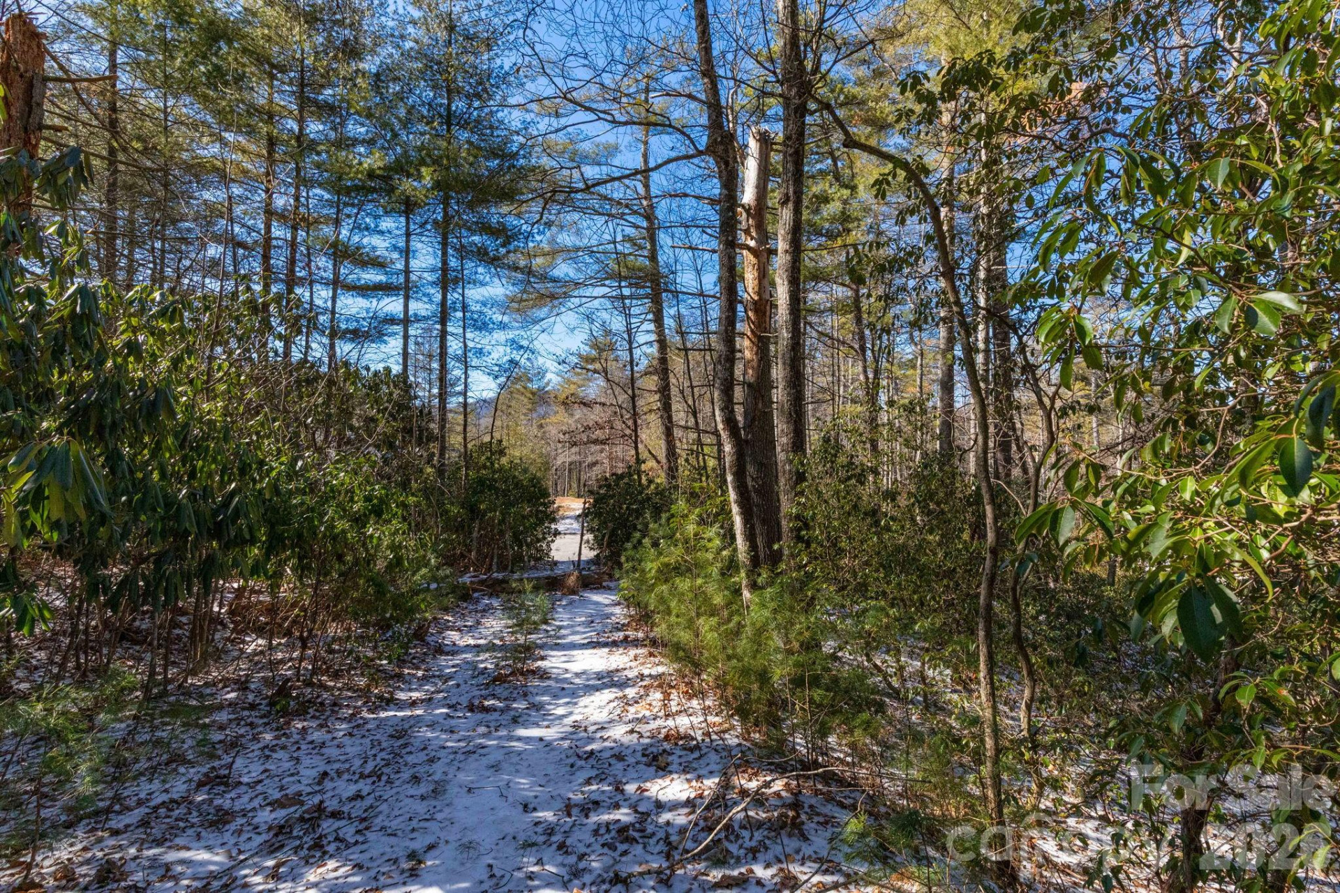 999 Trellum Trail #12 - Photo 7