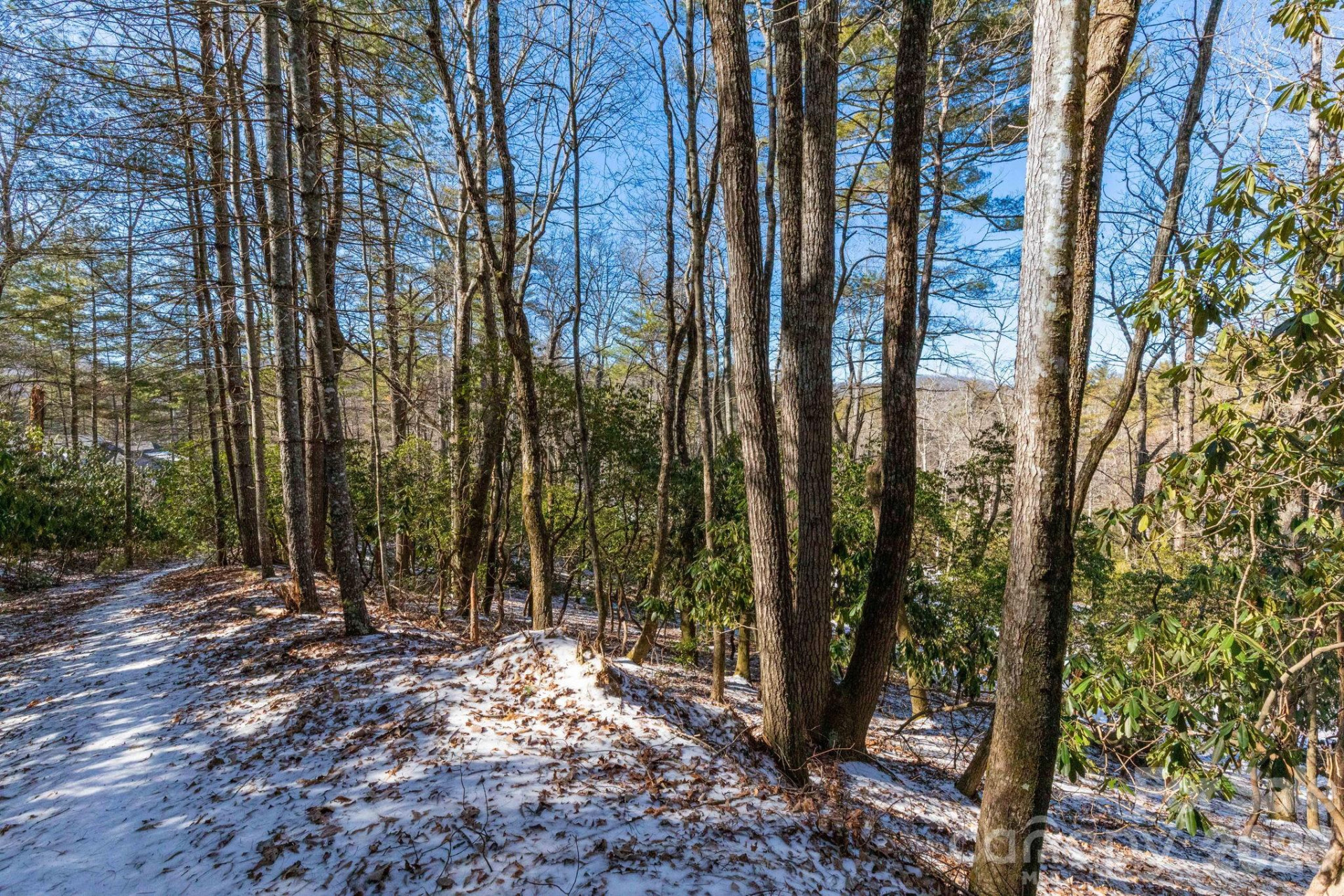 999 Trellum Trail #12 - Photo 8