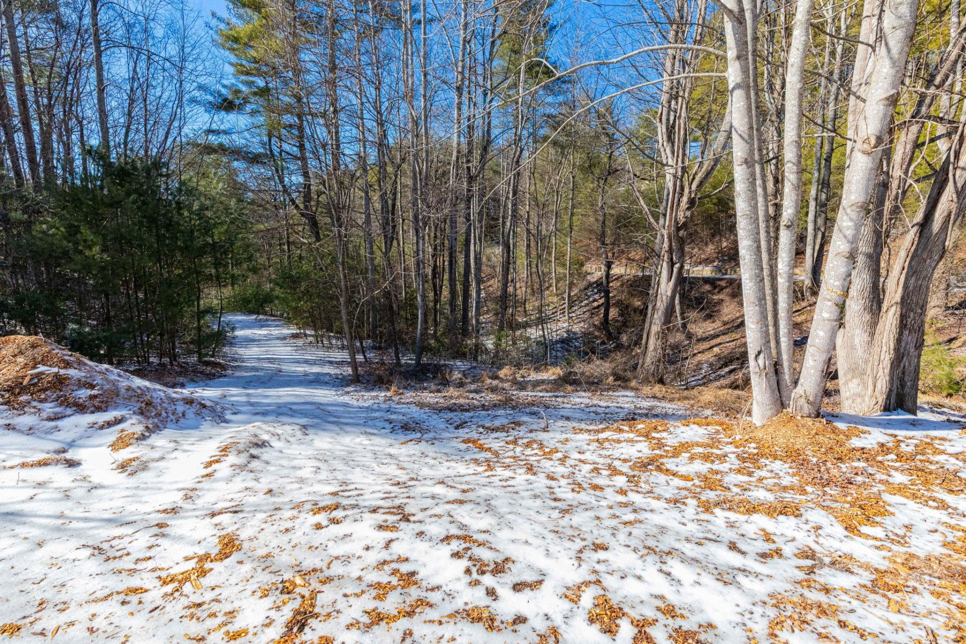 999 Trellum Trail #12 - Photo 9