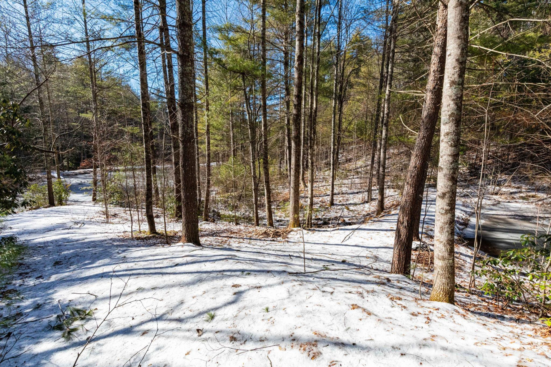 999 Trellum Trail #12 - Photo 10