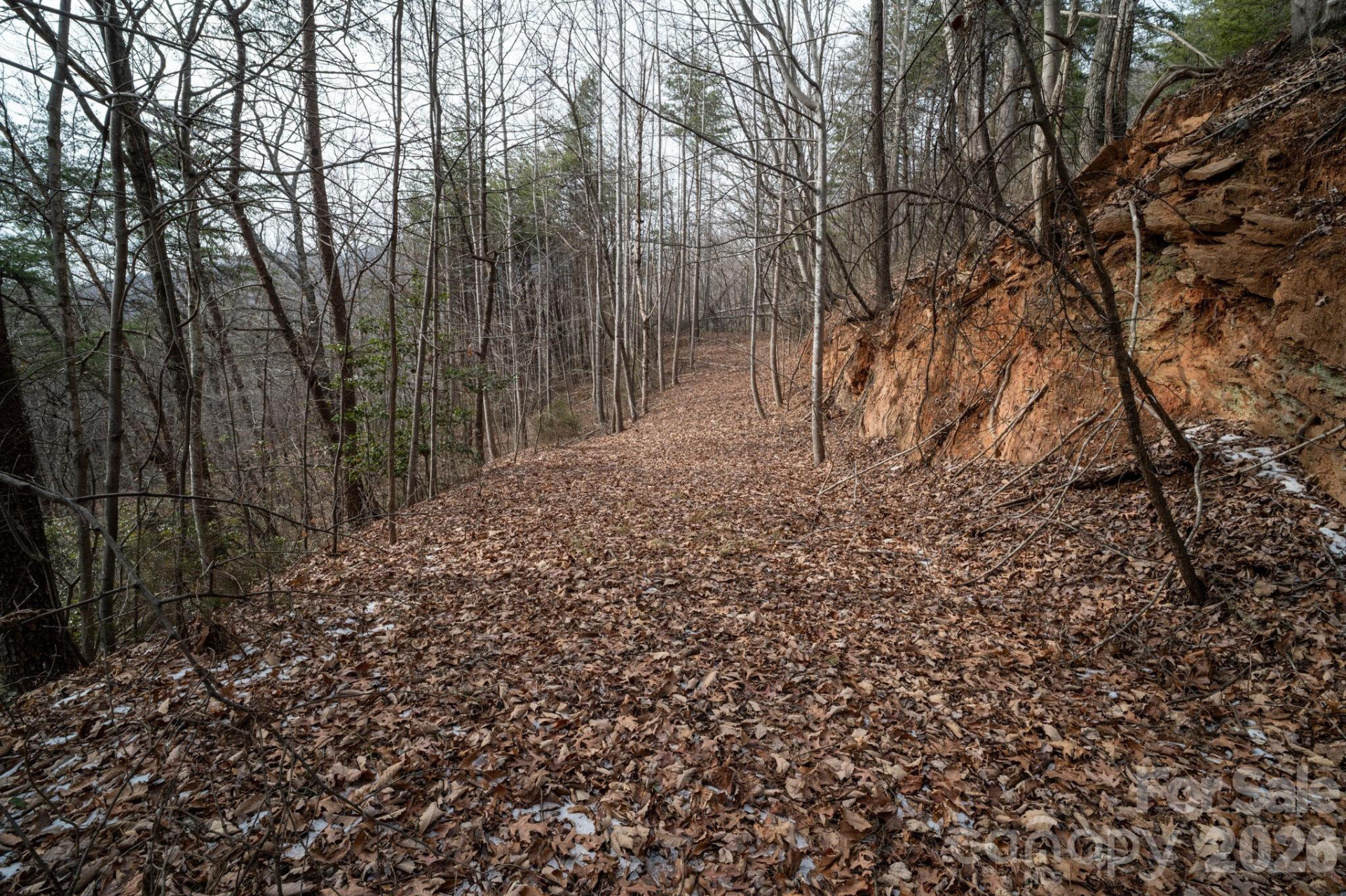 000 Pinnacle Parkway - Photo 2