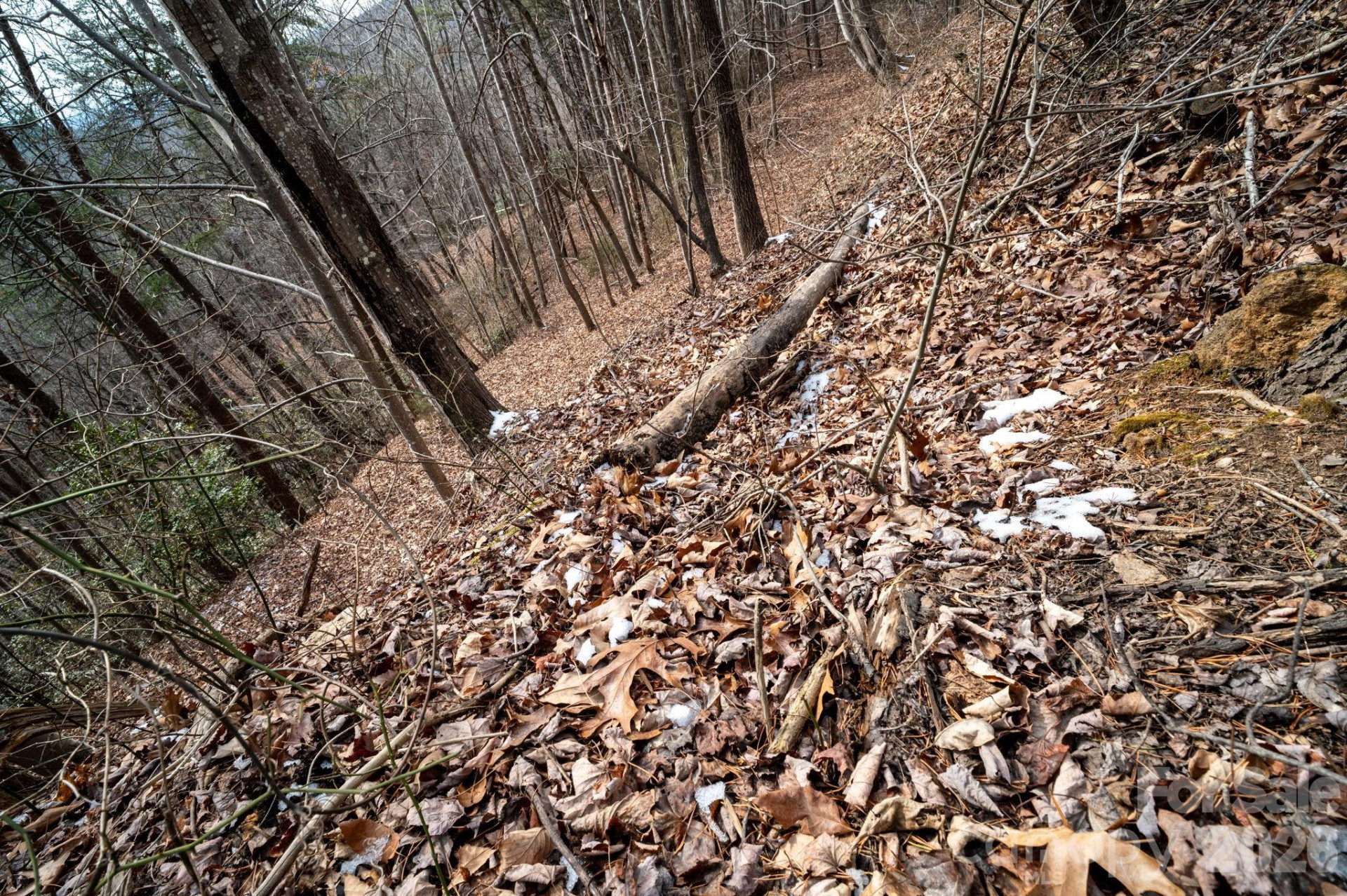 000 Pinnacle Parkway - Photo 11