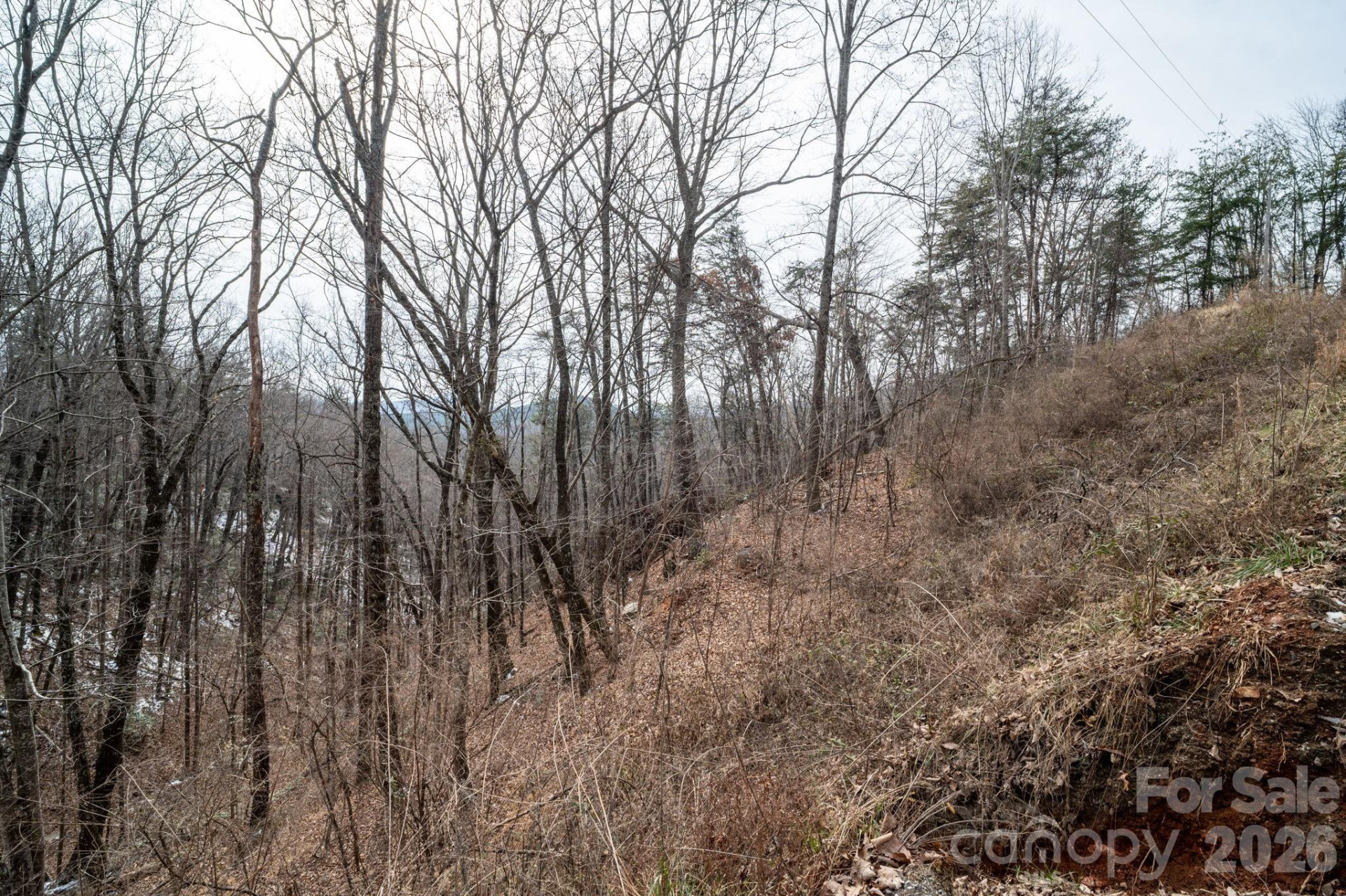 000 Pinnacle Parkway - Photo 13