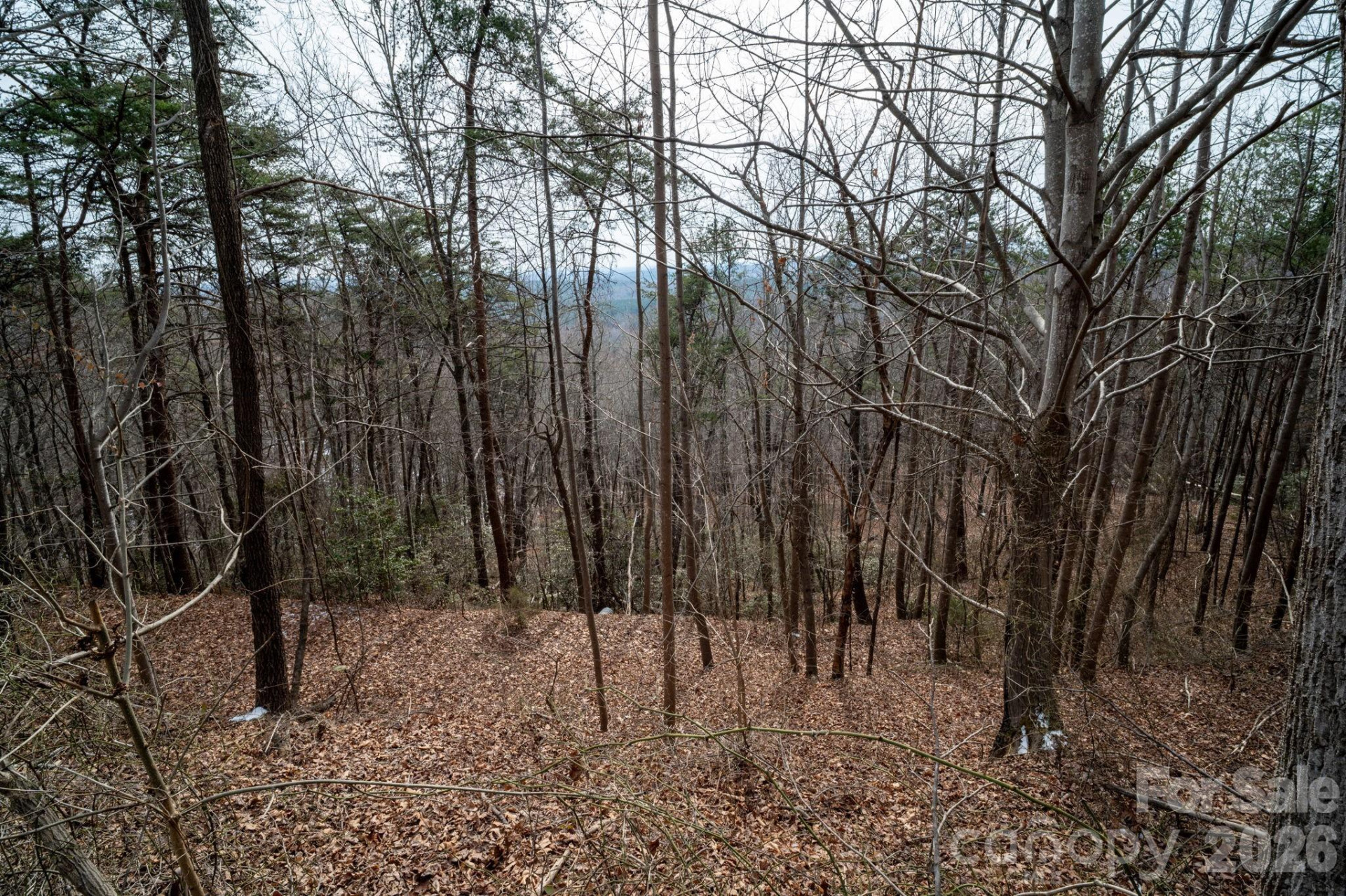 000 Pinnacle Parkway - Photo 14