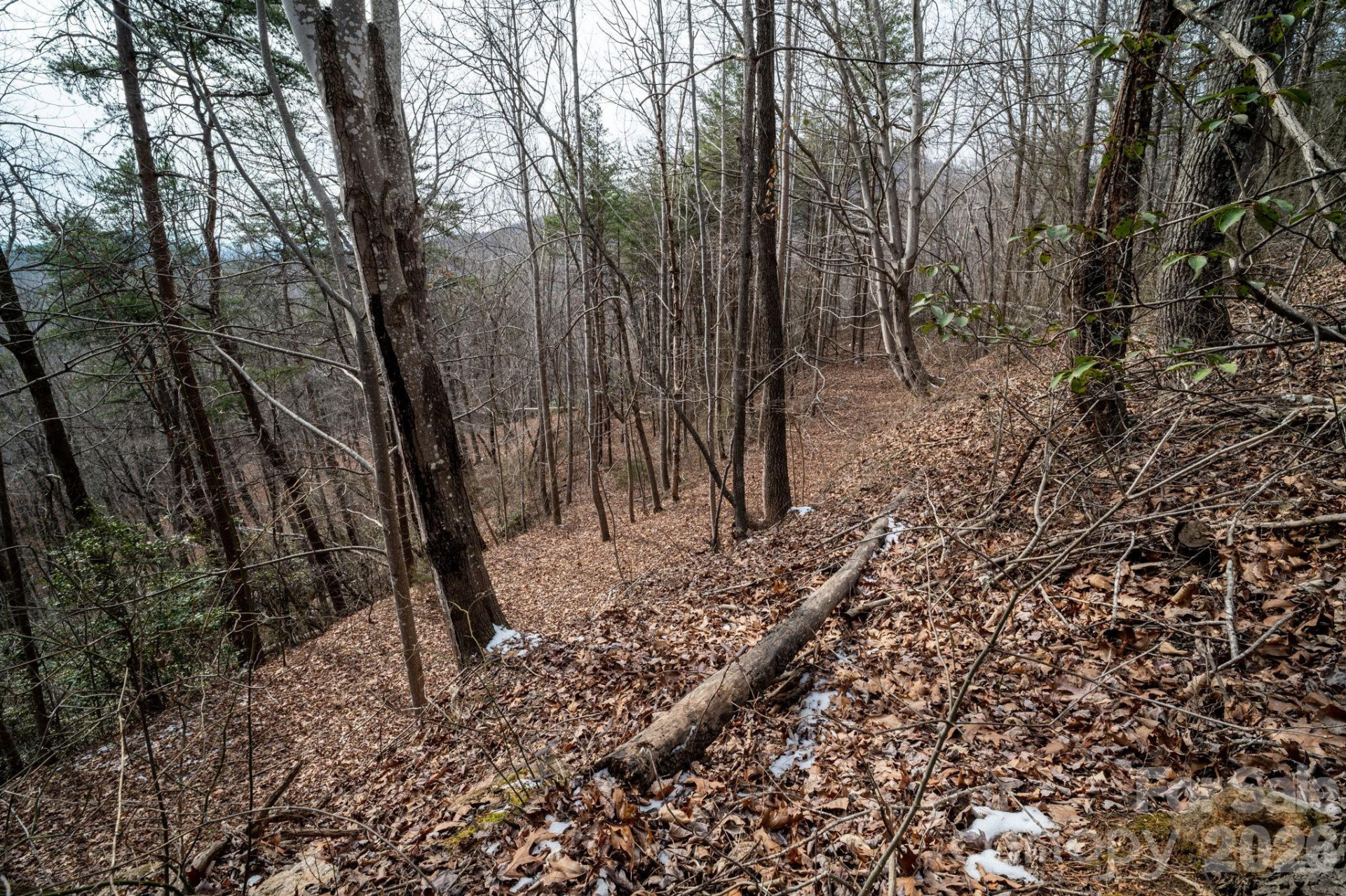 000 Pinnacle Parkway - Photo 15