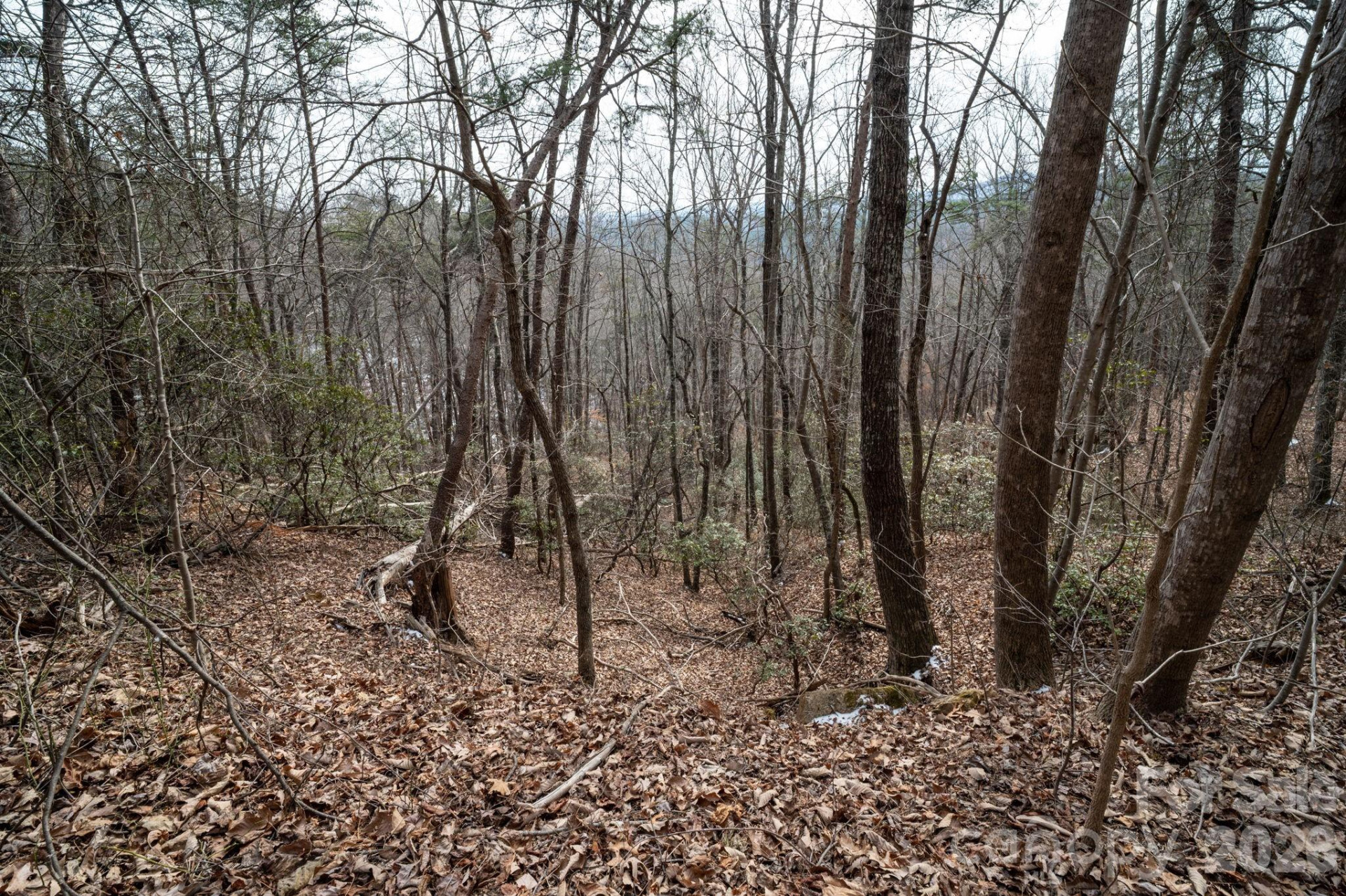 000 Pinnacle Parkway - Photo 5