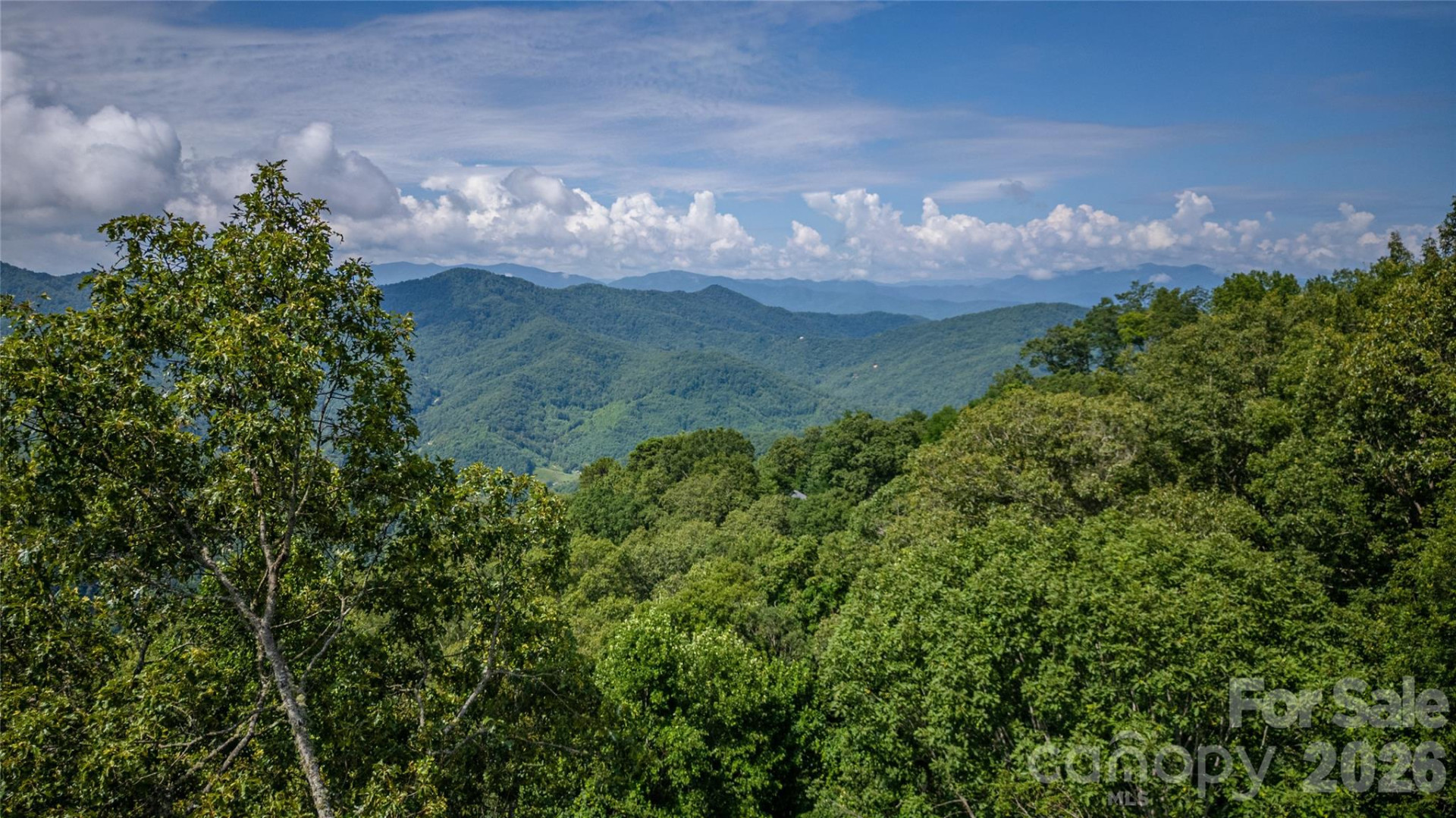 241 Golden Hawk Drive #85 - Photo 6