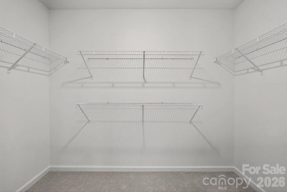 507 Silver Birch Court - Photo 16