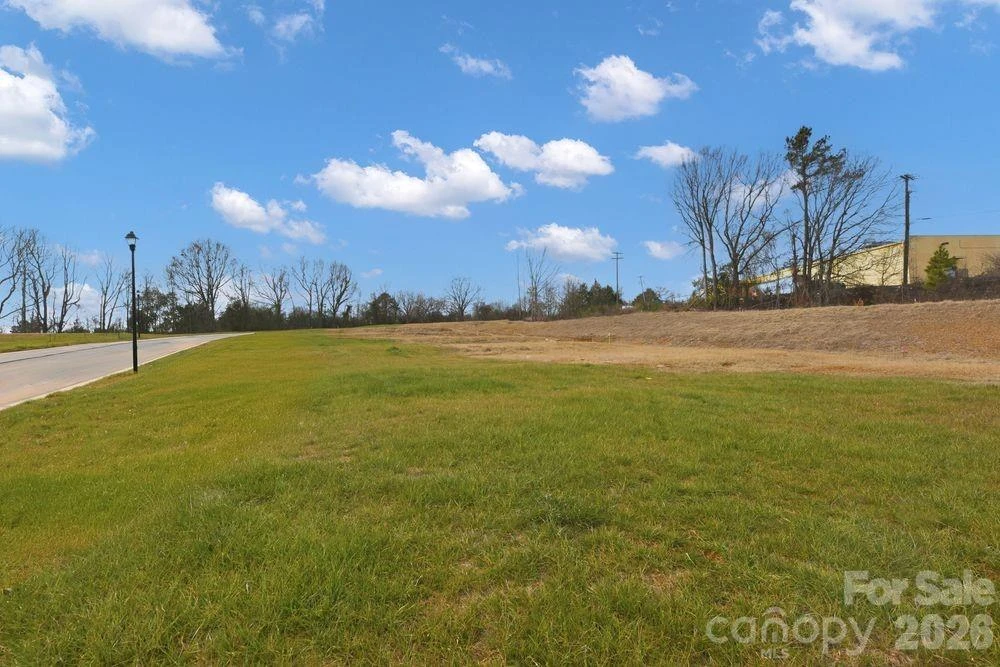 507 Silver Birch Court - Photo 39