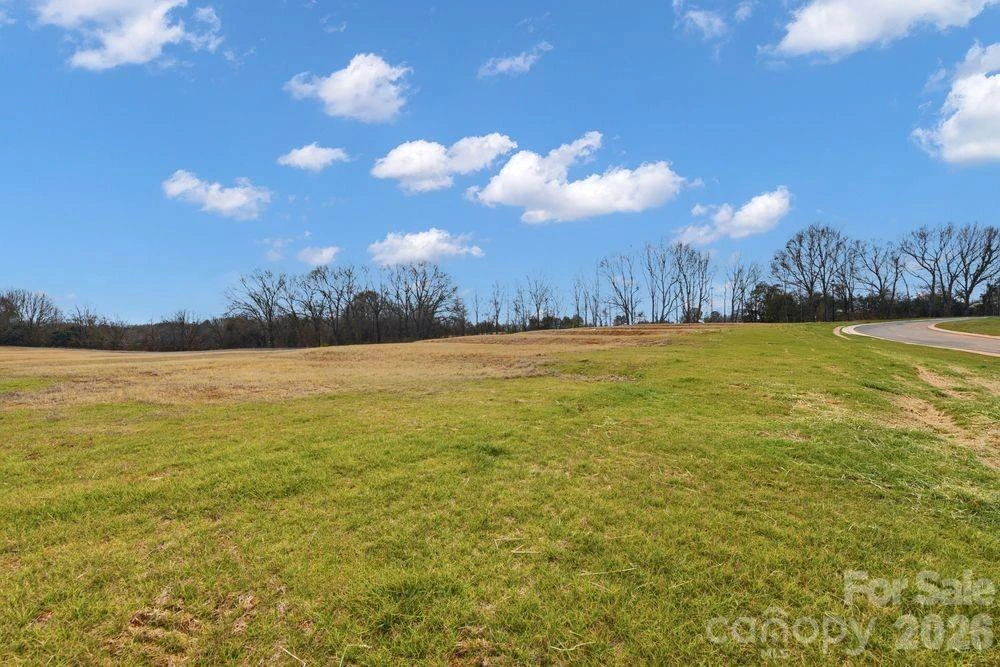 507 Silver Birch Court - Photo 40